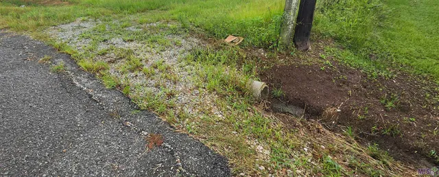 $510,000 | Tbd Butch Gore Road, St. Amant, LA 70774