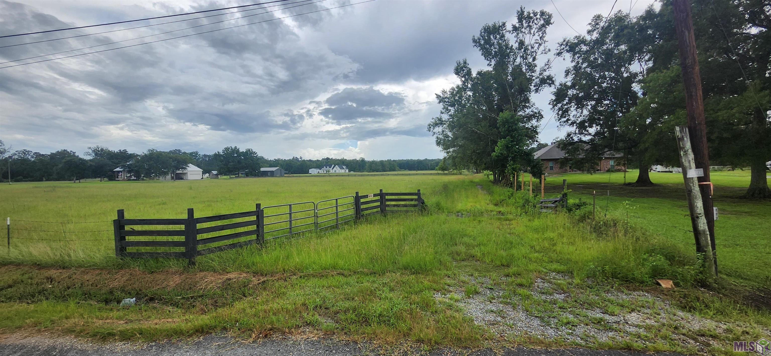 Tbd Butch Gore Road St. Amant, LA 70774 - Photo 5 of 5