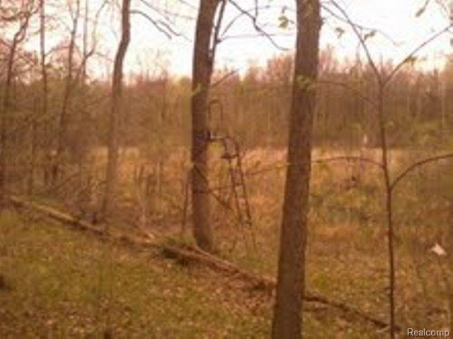 0 Ranch Road Davisburg, MI 48350 - Photo 1 of 1 Ranch2.jpg