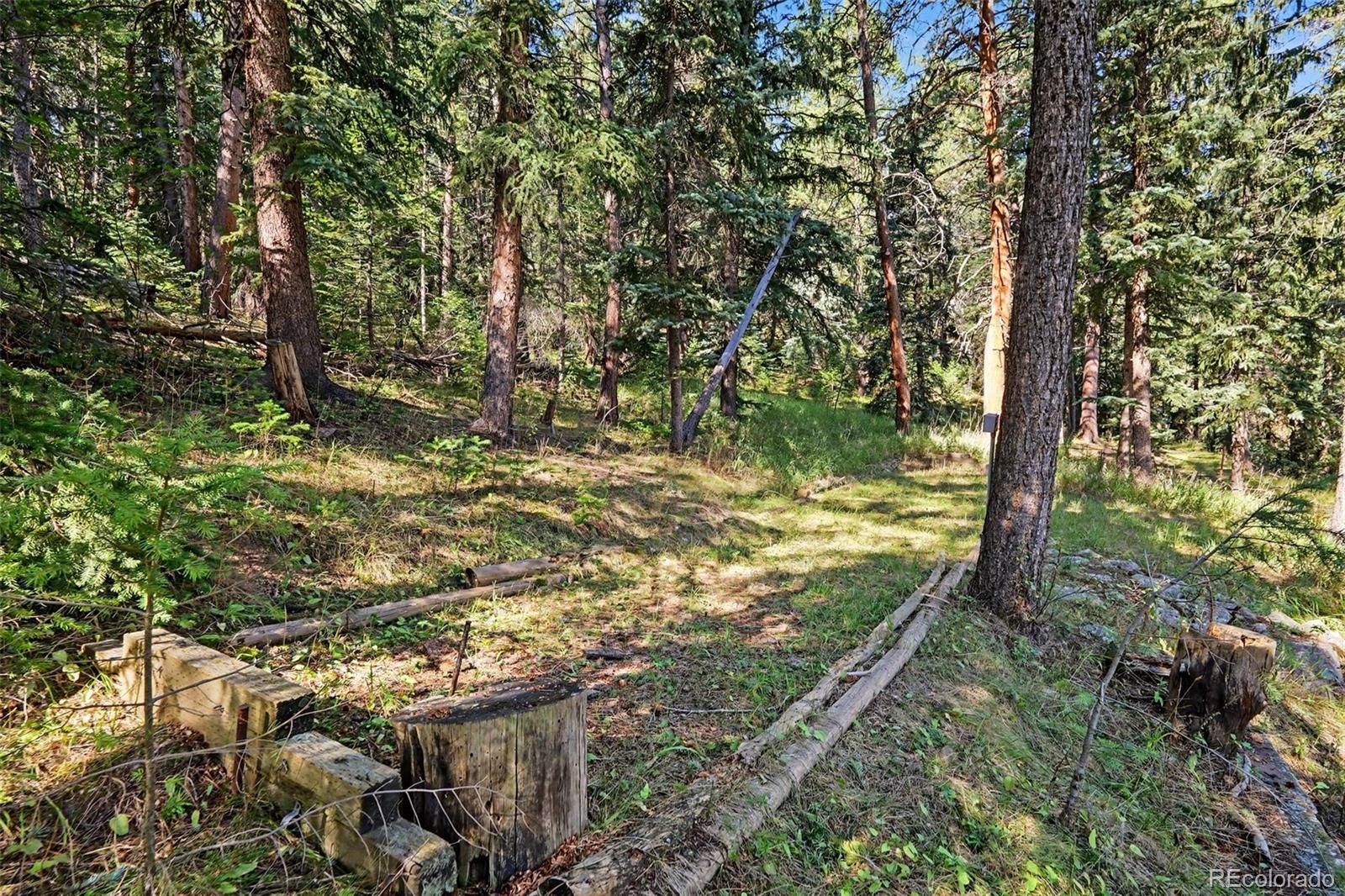 6411 South Summer Road Morrison, CO 80465 - Photo 27 of 32 Gallery Image 27