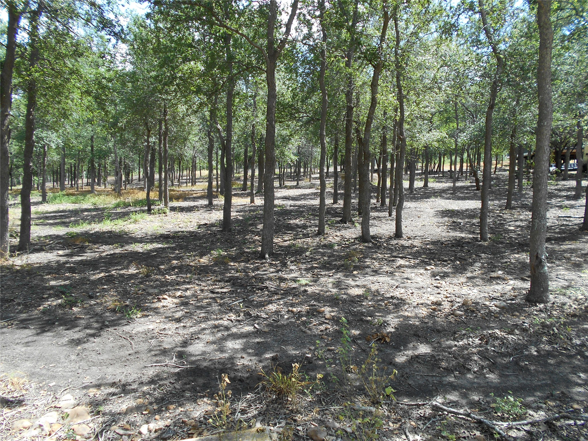 8001 Burleson Manor Road Manor, TX 78653 - Photo 24 of 31 A tranquil, tree-lined lot offers a natural, shaded retreat.