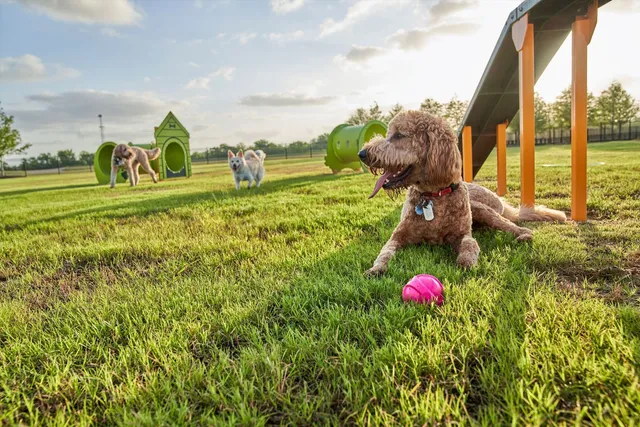 $464,981 | 24923 Poppy Ter Court, Katy, TX 77493