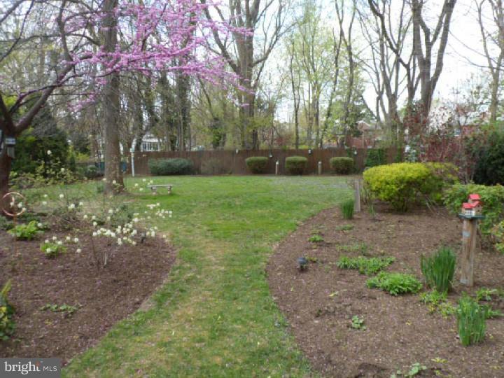 362 Bennett Road Springfield, PA 19064 - Photo 22 of 23 Back Yard