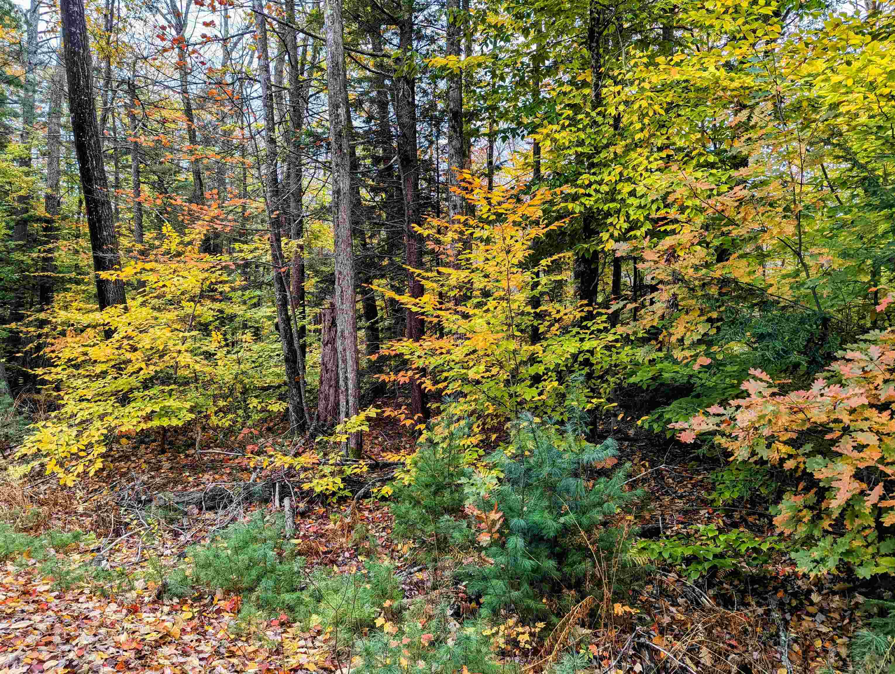 Nicola Road Middleton, NH 03887 - Photo 2 of 6