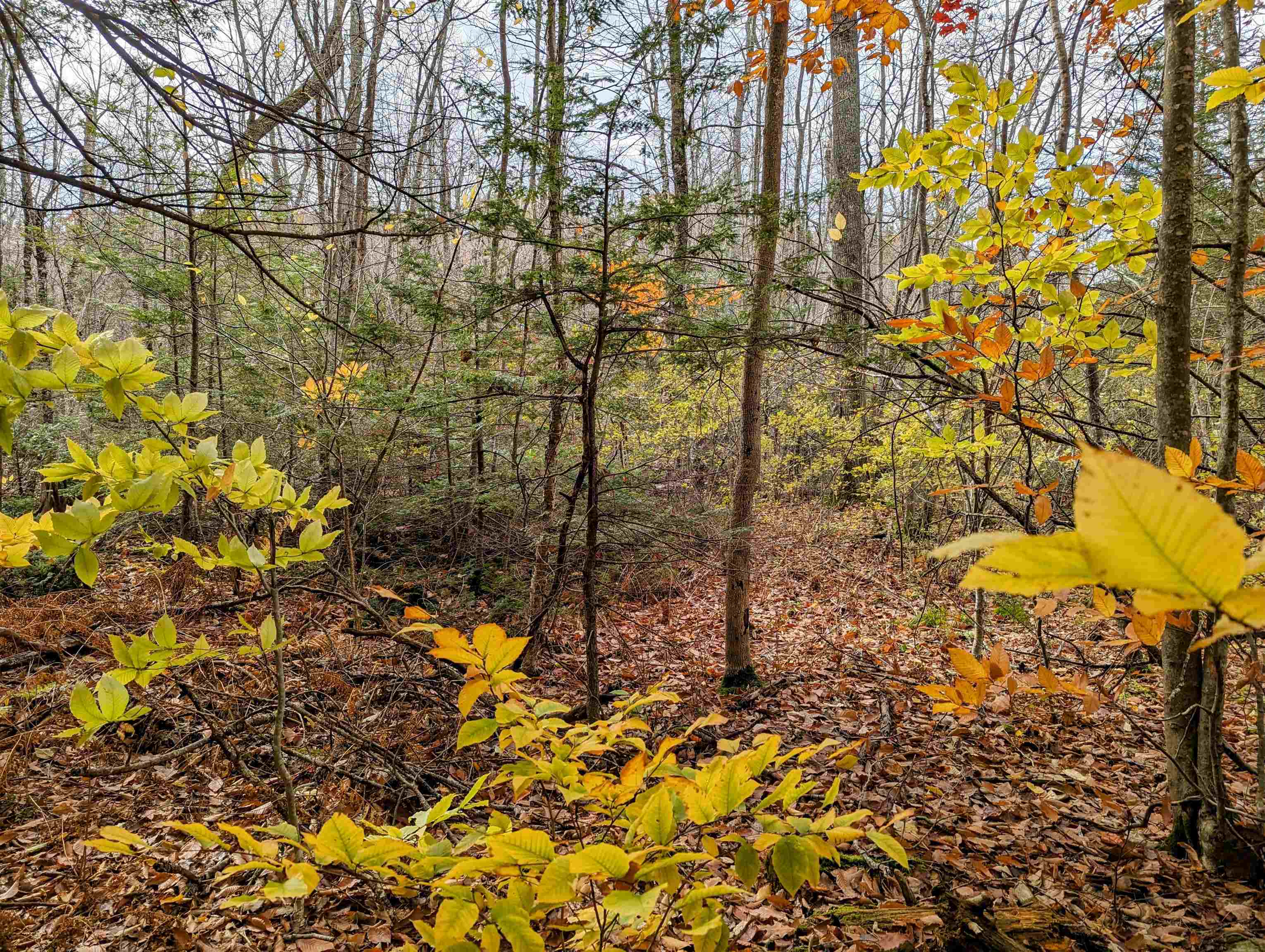 Nicola Road Middleton, NH 03887 - Photo 5 of 6