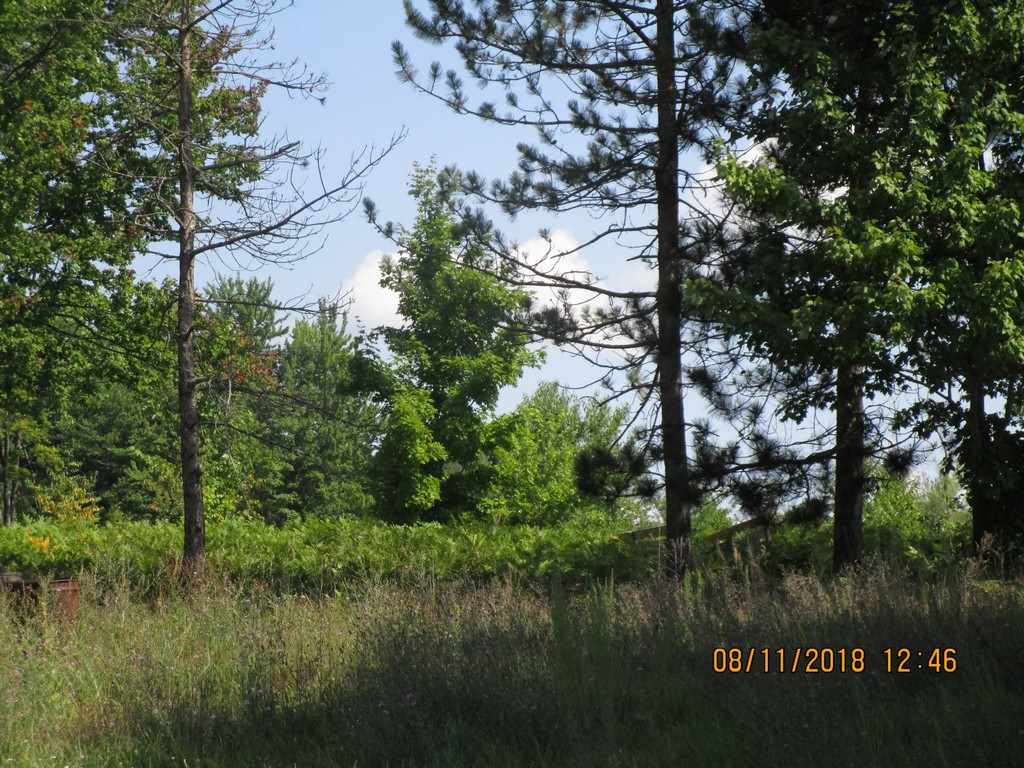 302 Thomas Road Kalkaska, MI 49646 - Photo 37 of 40 1851550-36.JPG