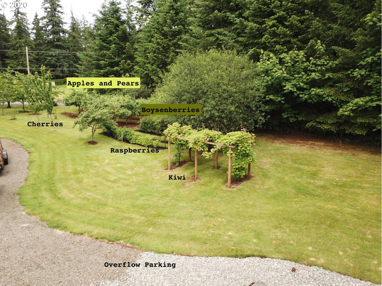 27114 Northeast Robinson Road Camas, WA 98607 - Photo 8 of 21