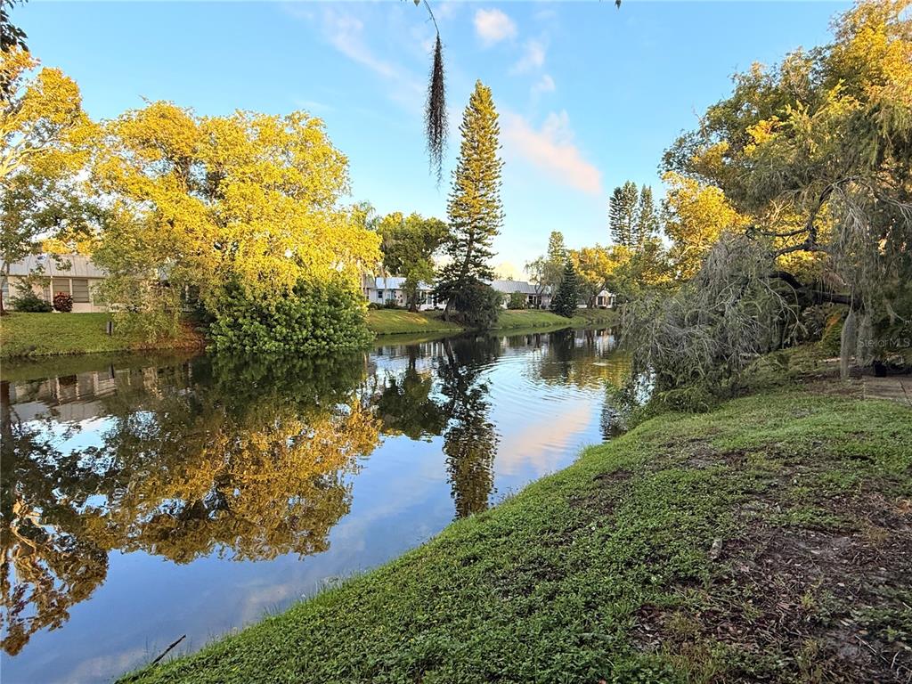 4221 Touchton Place, Unit 4221 New Port Richey, FL 34652 - Photo 4 of 37 a view of a lake with a big yard