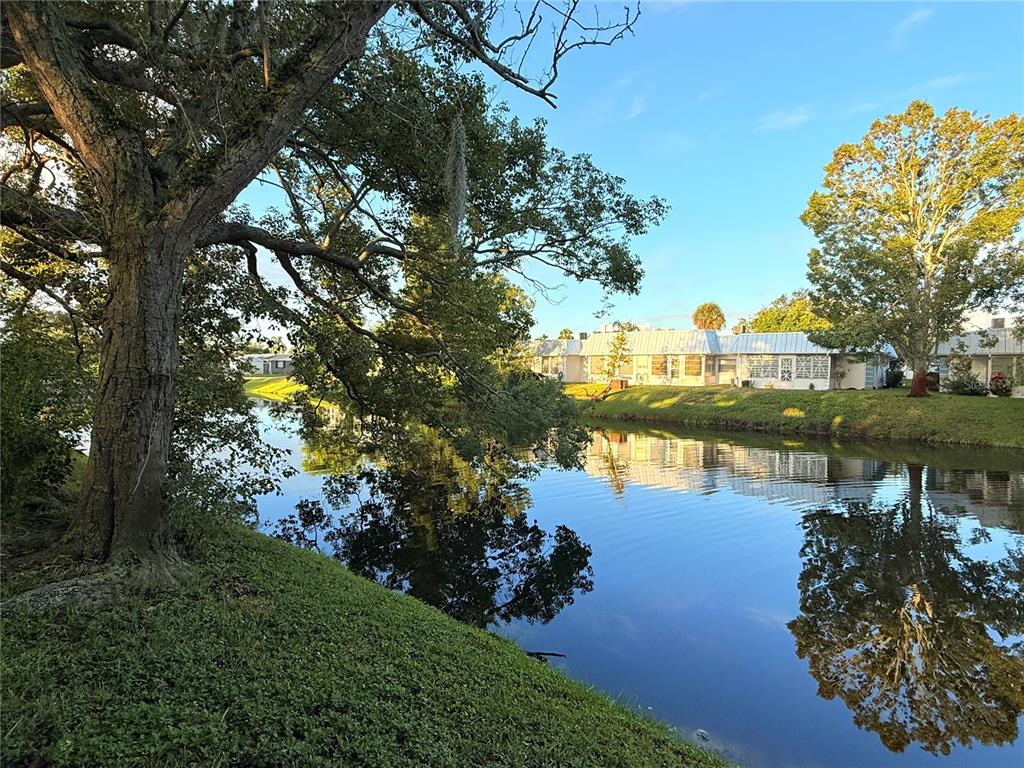 4221 Touchton Place, Unit 4221 New Port Richey, FL 34652 - Photo 5 of 37 a view of lake with green space