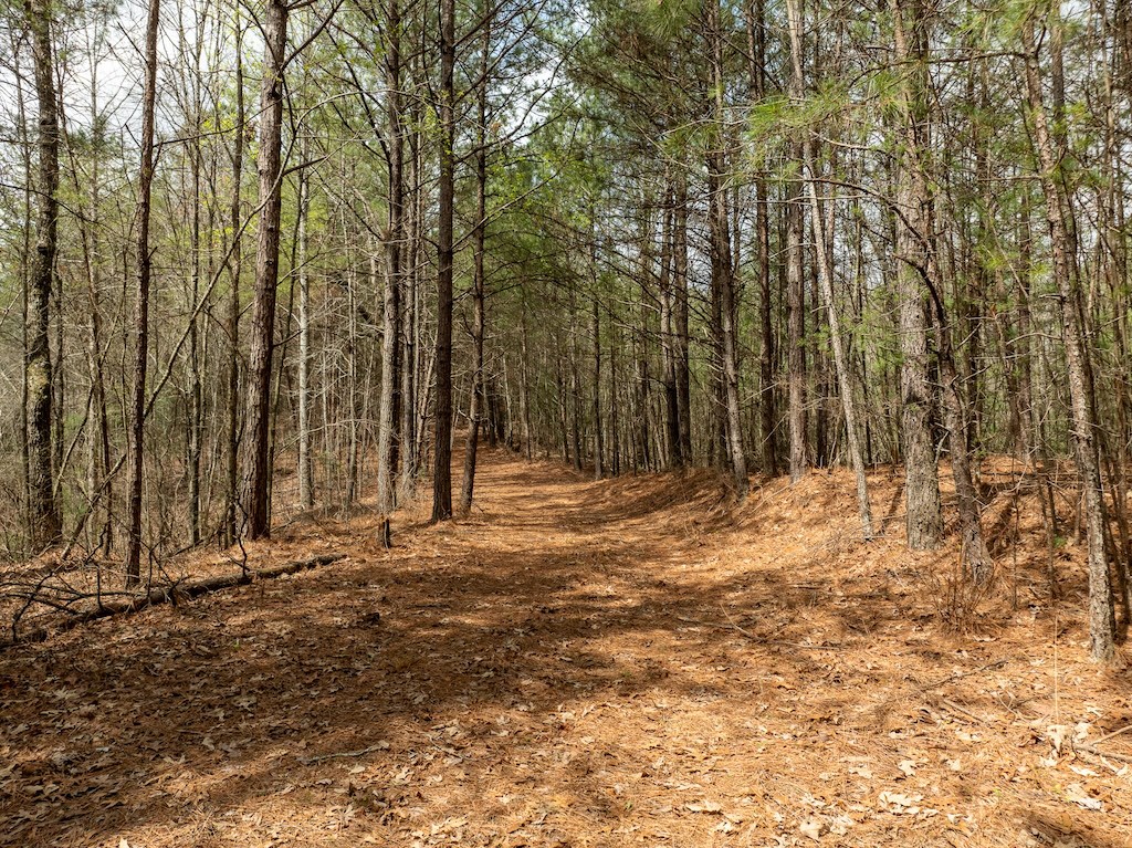 824-830 Banks Road Ellijay, GA 30540 - Photo 10 of 17 Gallery Image 10