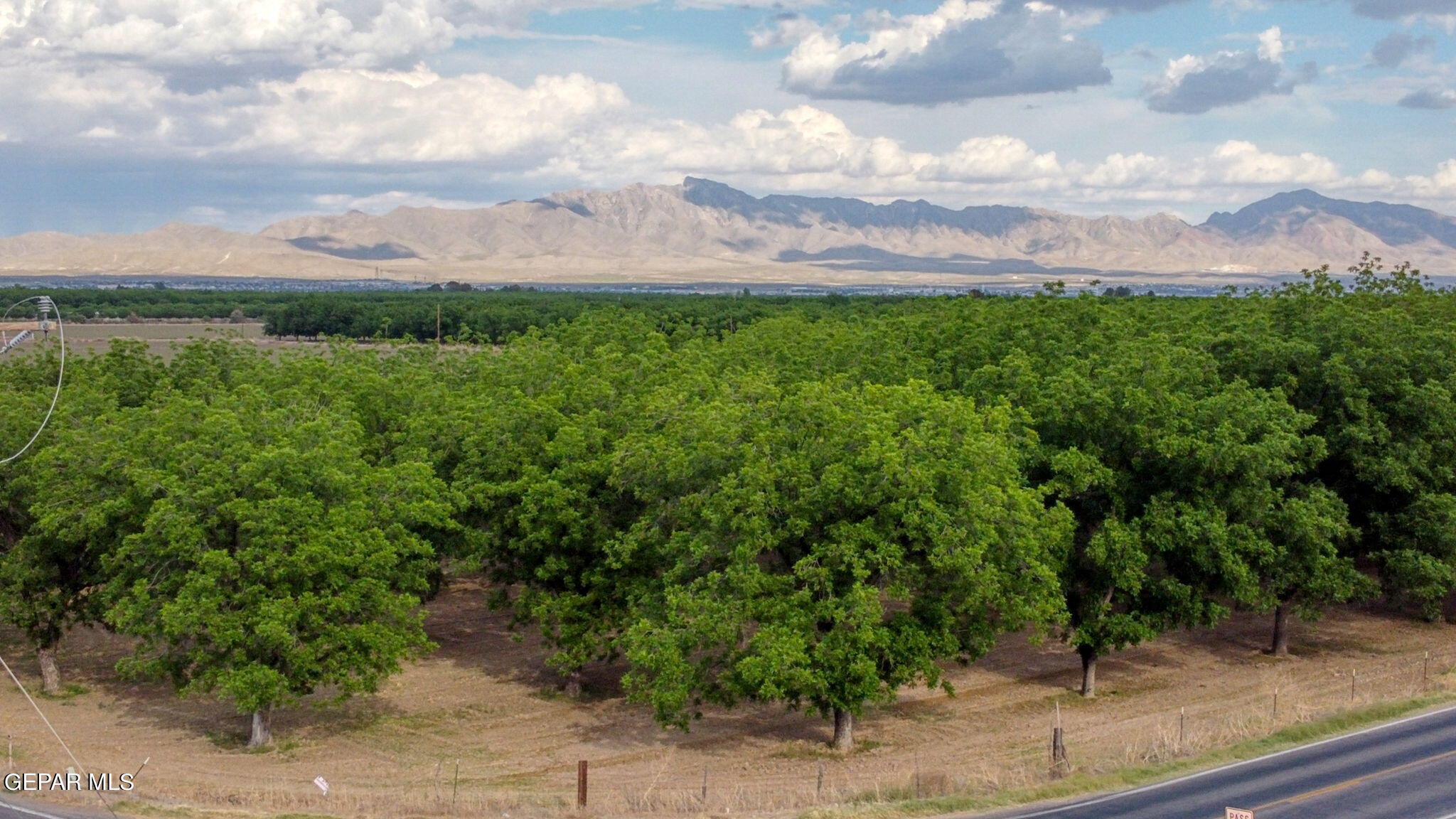 3025-3035 West O'Hara Road Anthony, NM 88021 - Photo 13 of 41 a view of a yard with plants
