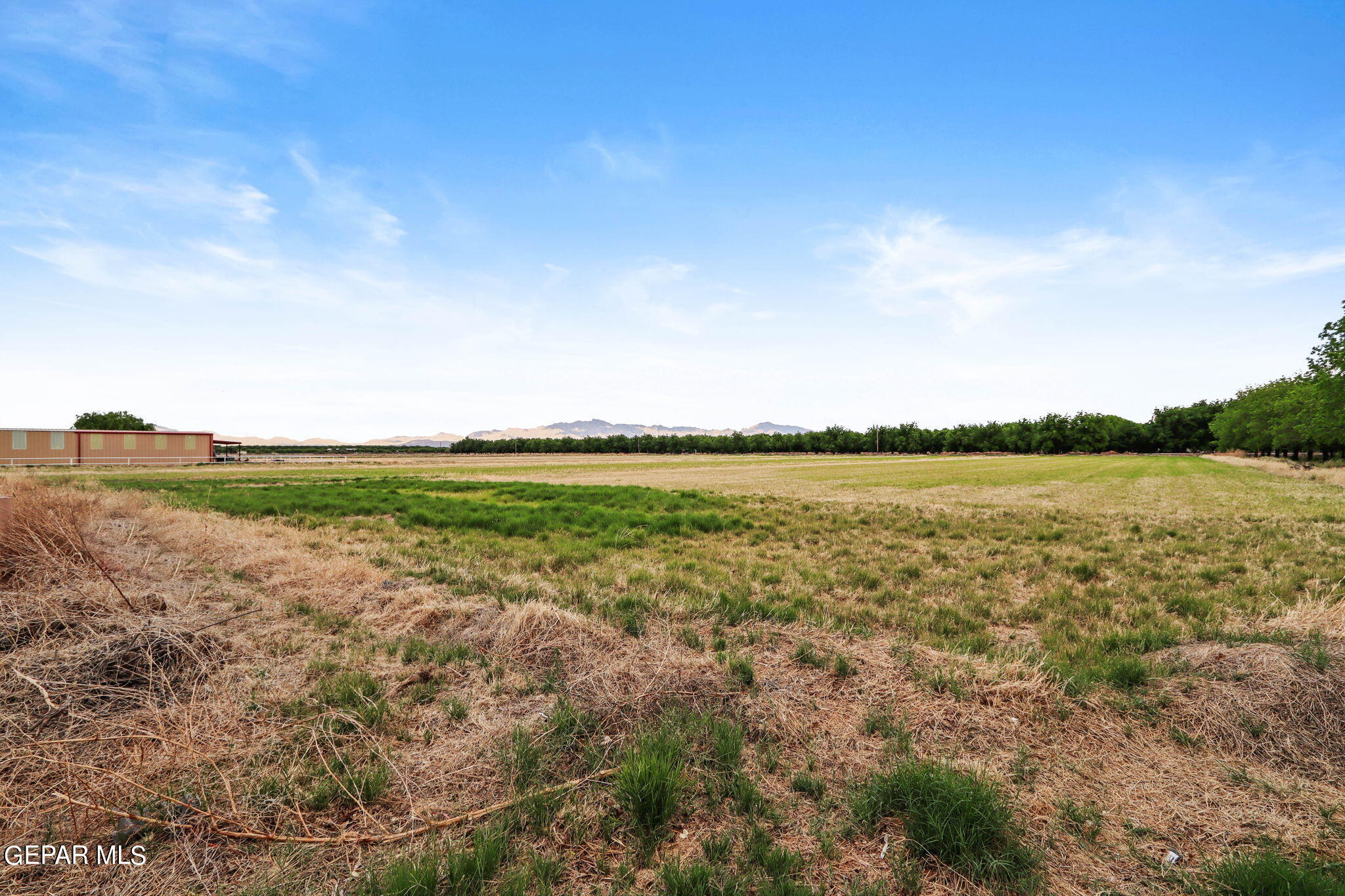 3025-3035 West O'Hara Road Anthony, NM 88021 - Photo 23 of 41 a view of a lake with houses in the back