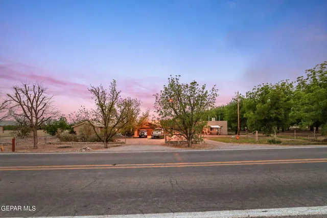 a street view with a large trees