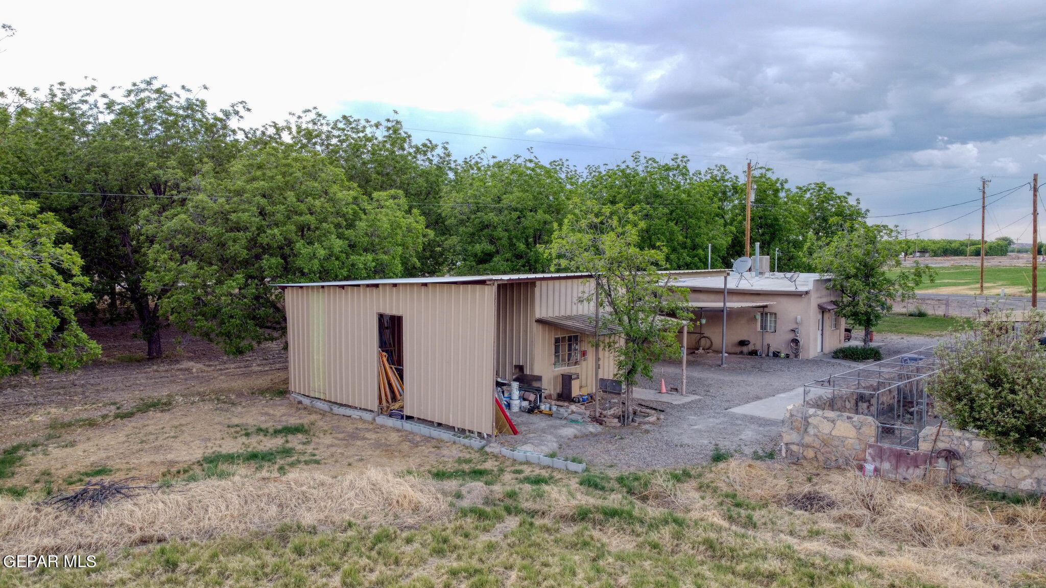 3025-3035 West O'Hara Road Anthony, NM 88021 - Photo 35 of 41 a view of a backyard with plants and a tree