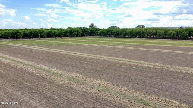 a view of a tennis court