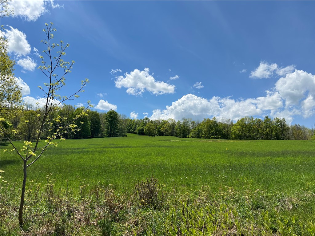 164 Ray Cottone Road Roxbury, NY 12474 - Photo 3 of 33