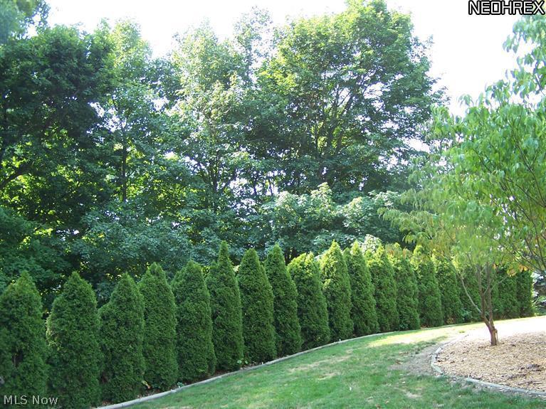 2949 McCormick Road Silver Lake, OH 44224 - Photo 25 of 25