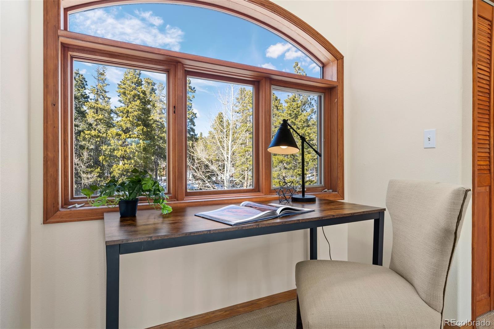439 Ronnie Road Golden, CO 80403 - Photo 27 of 50 Gallery Image 27