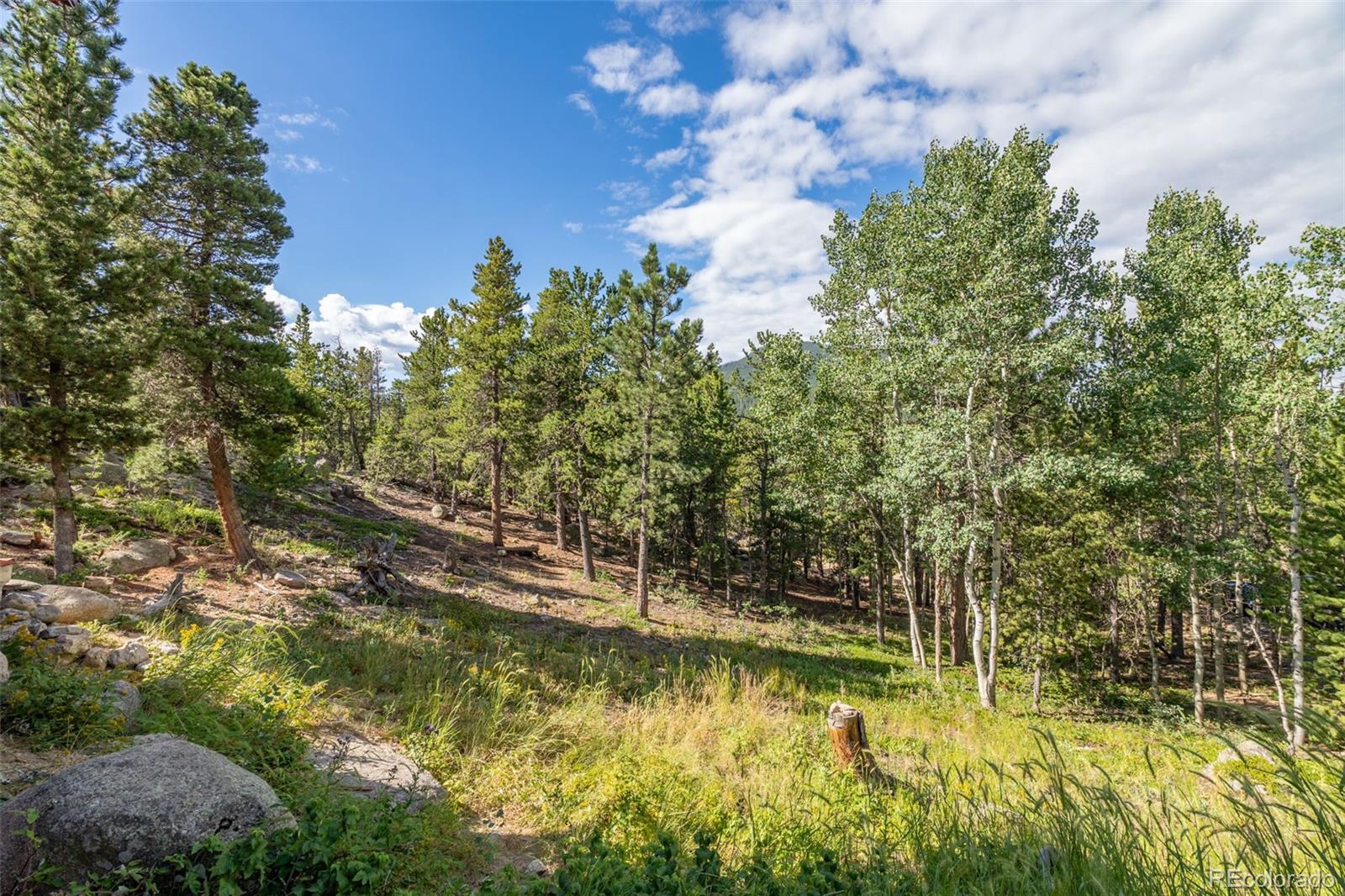 439 Ronnie Road Golden, CO 80403 - Photo 42 of 50 Gallery Image 42