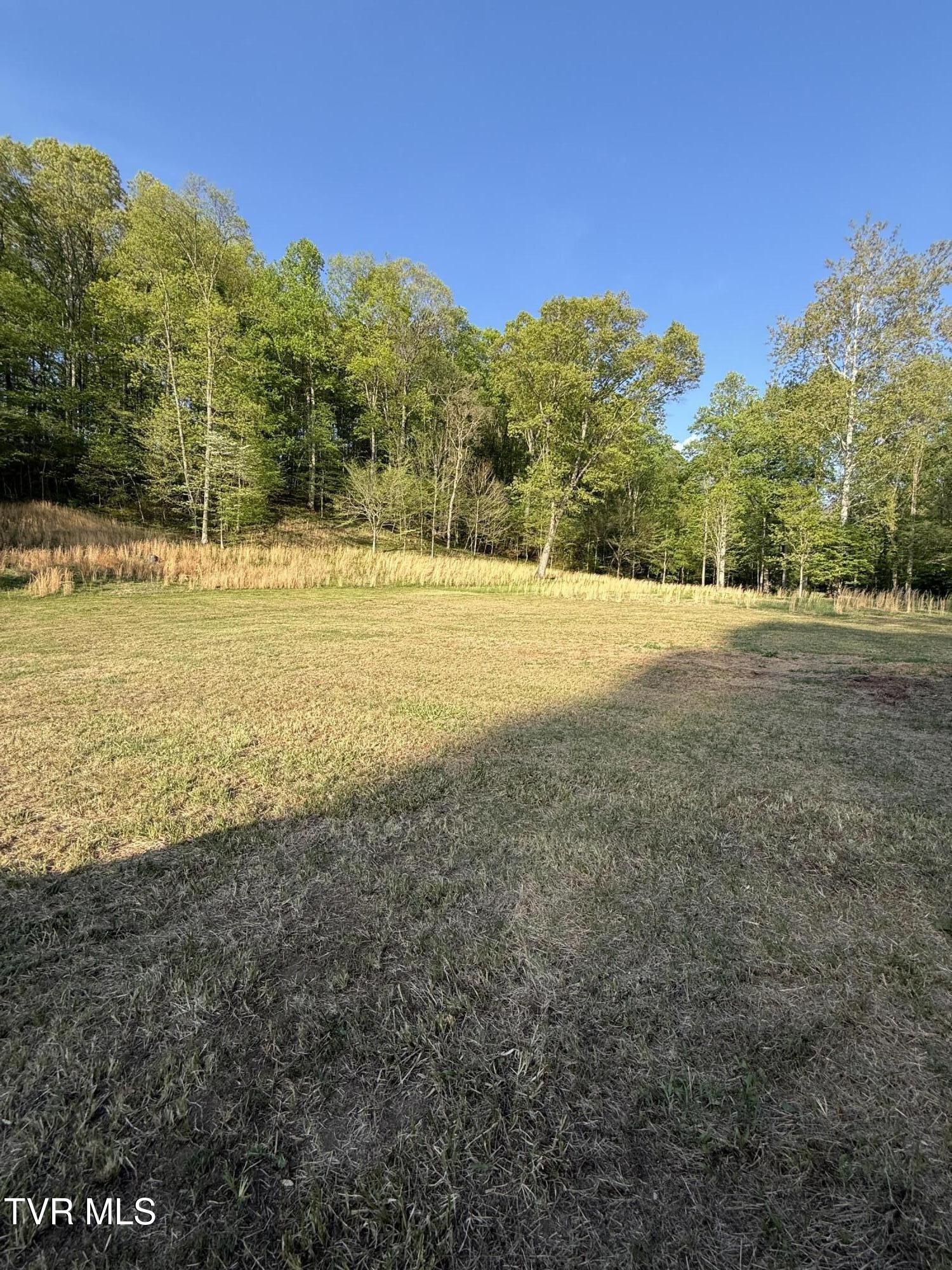 Tbd Bobs Hollow Road, Unit LOT 4 Elizabethton, TN 37643 - Photo 31 of 37 IMG_5282