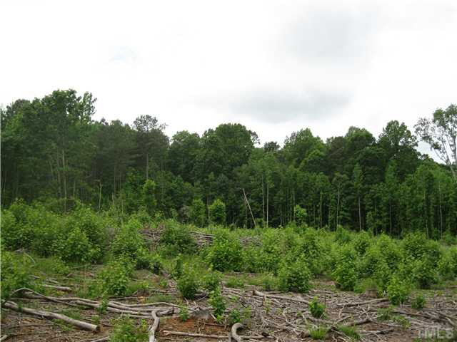 Clarence Brooks Road Pittsboro, NC 27312 - Photo 8 of 14 Photo 8