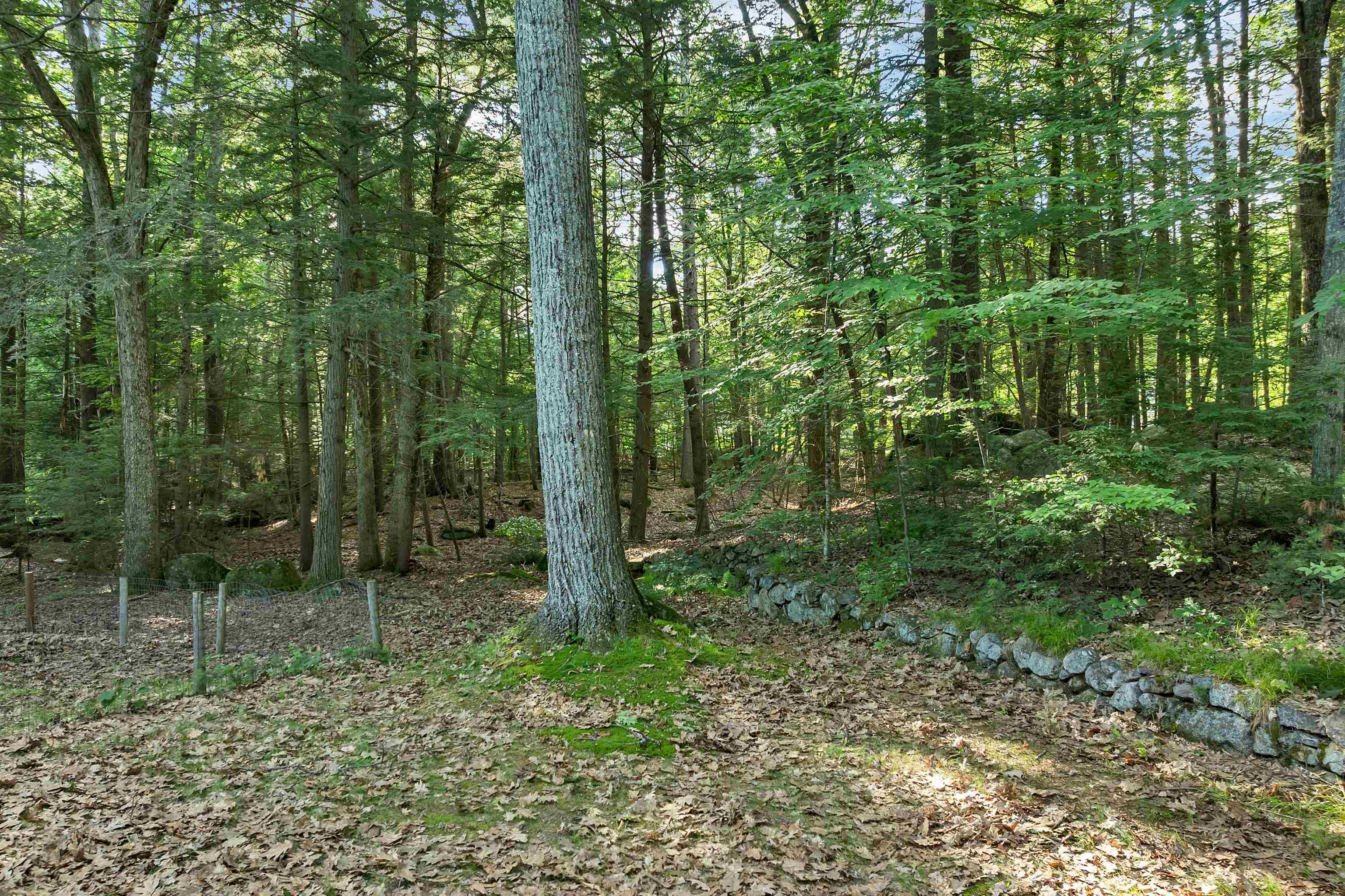 28 Manchester Road Amherst, NH 03031 - Photo 29 of 34
