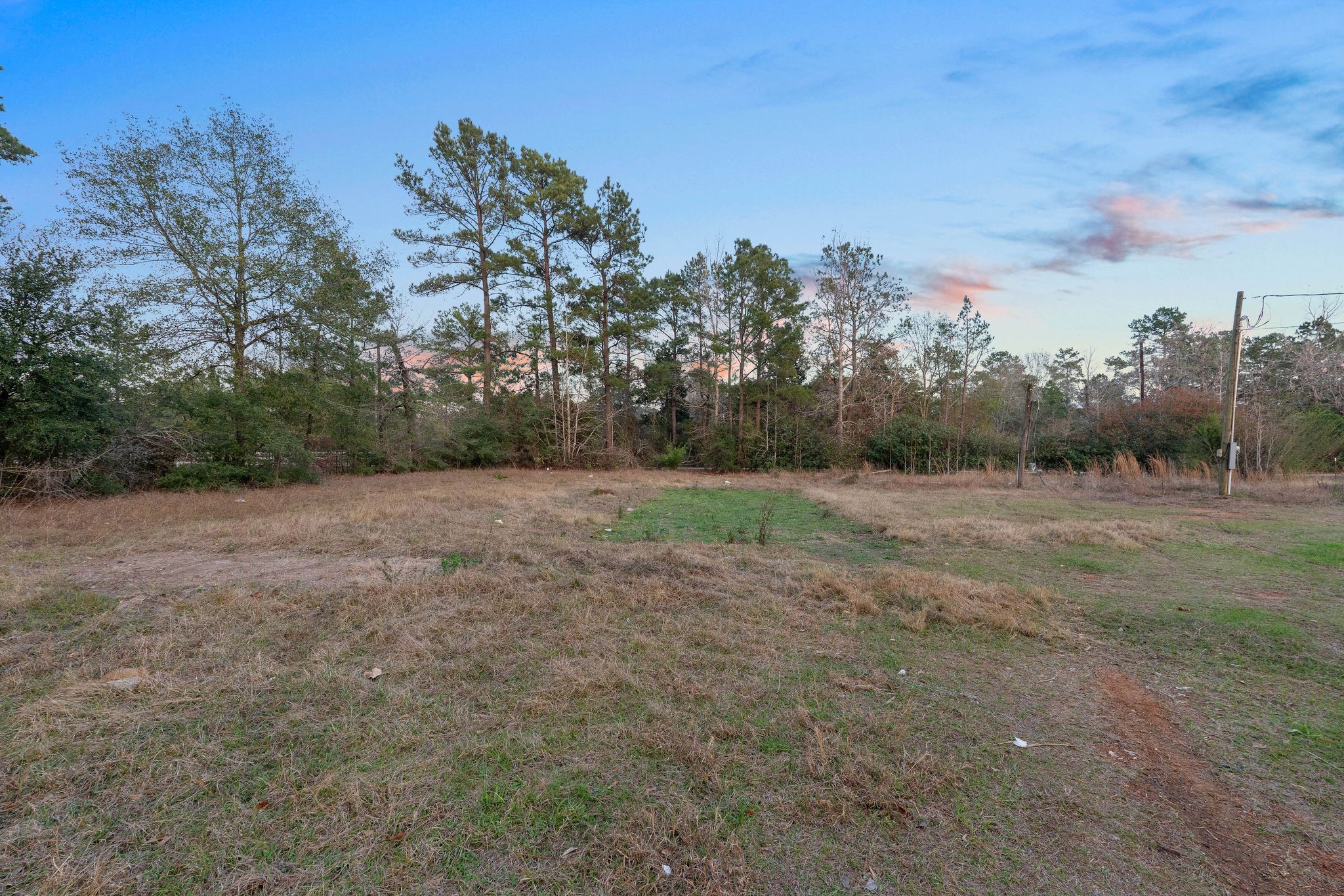 16421 East Williams Road Conroe, TX 77303 - Photo 11 of 25