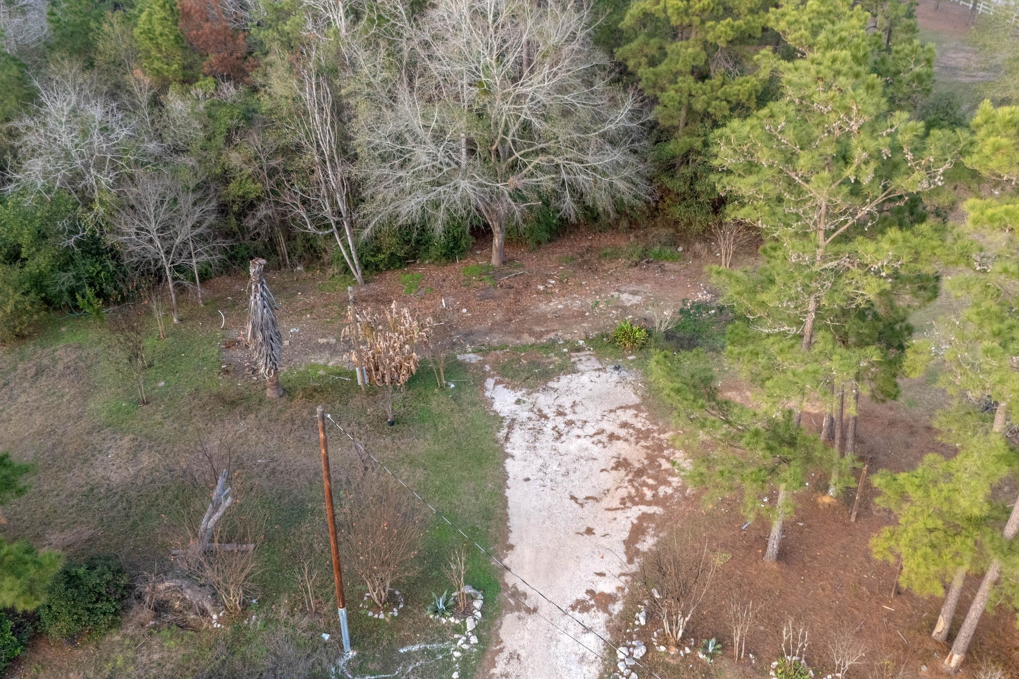 16421 East Williams Road Conroe, TX 77303 - Photo 14 of 25