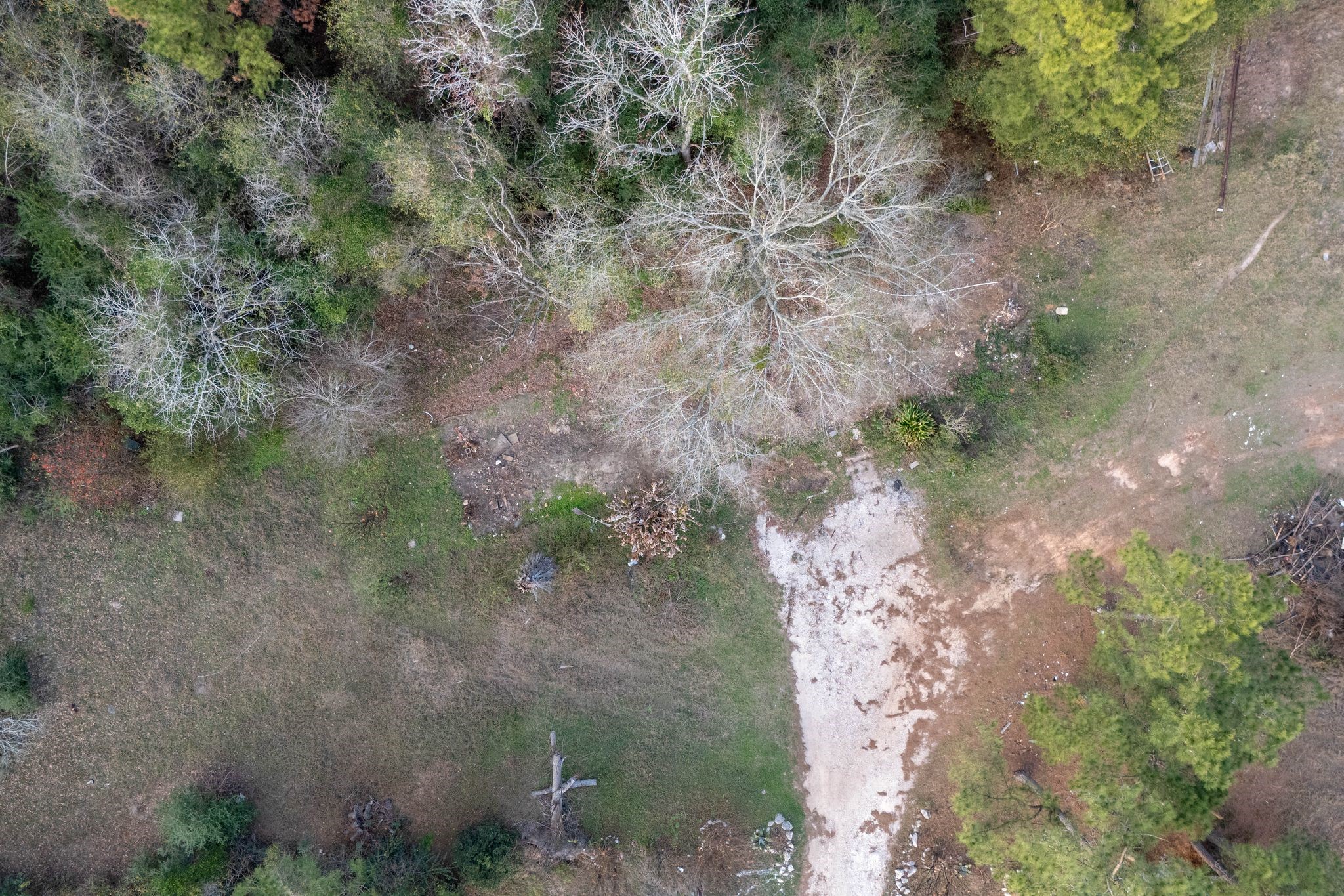 16421 East Williams Road Conroe, TX 77303 - Photo 15 of 25