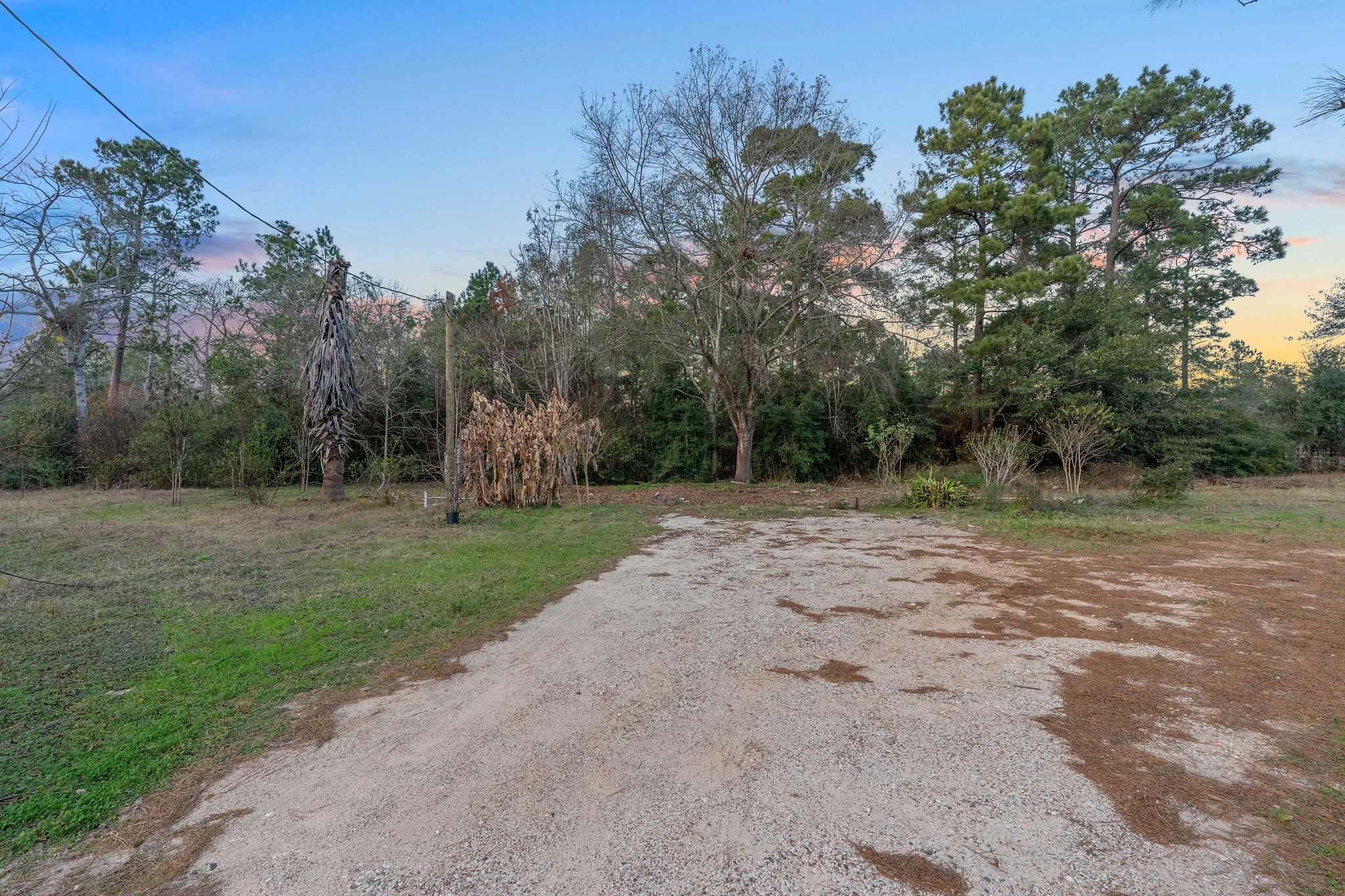 16421 East Williams Road Conroe, TX 77303 - Photo 4 of 25