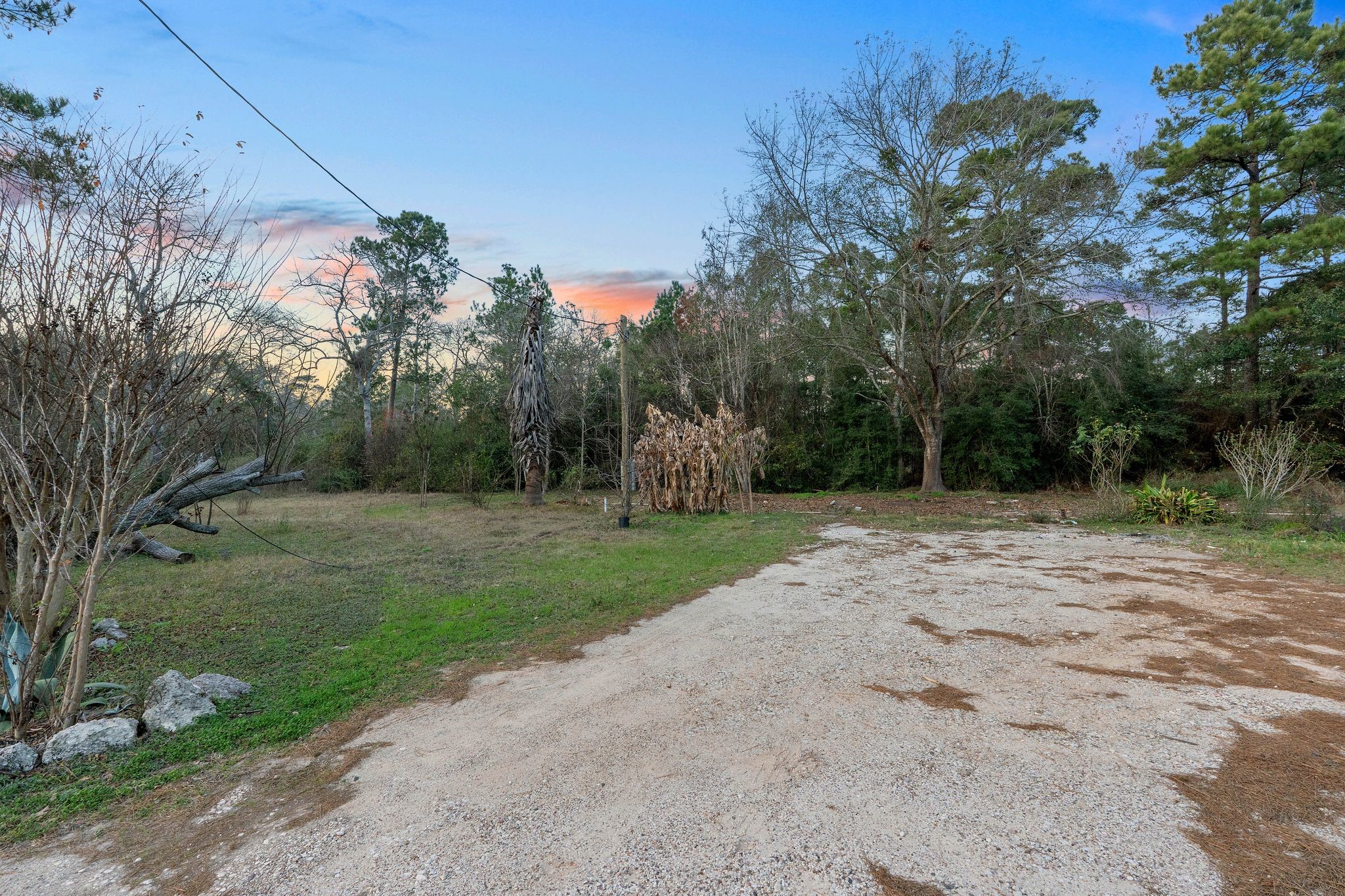 16421 East Williams Road Conroe, TX 77303 - Photo 5 of 25