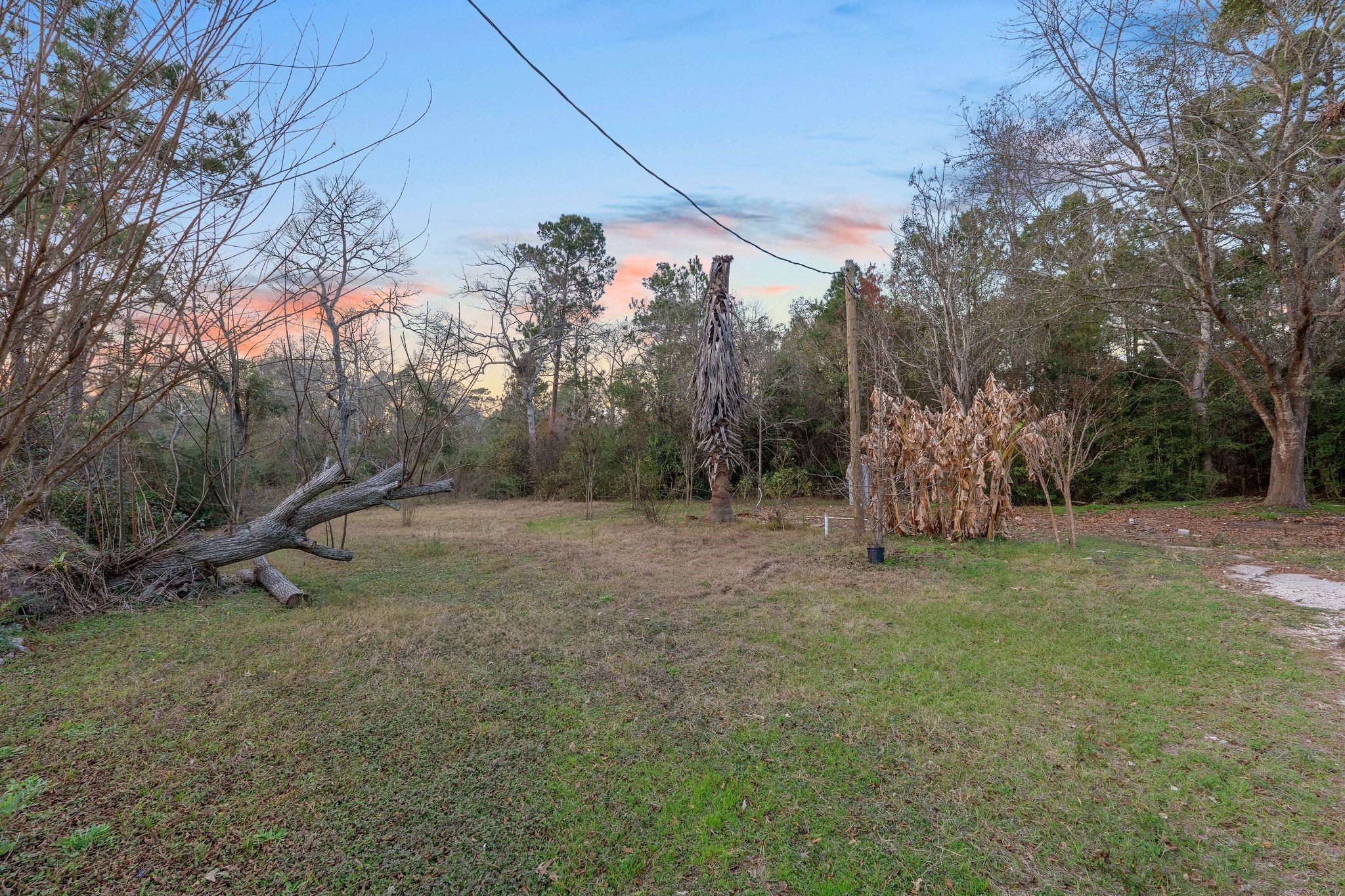 16421 East Williams Road Conroe, TX 77303 - Photo 7 of 25