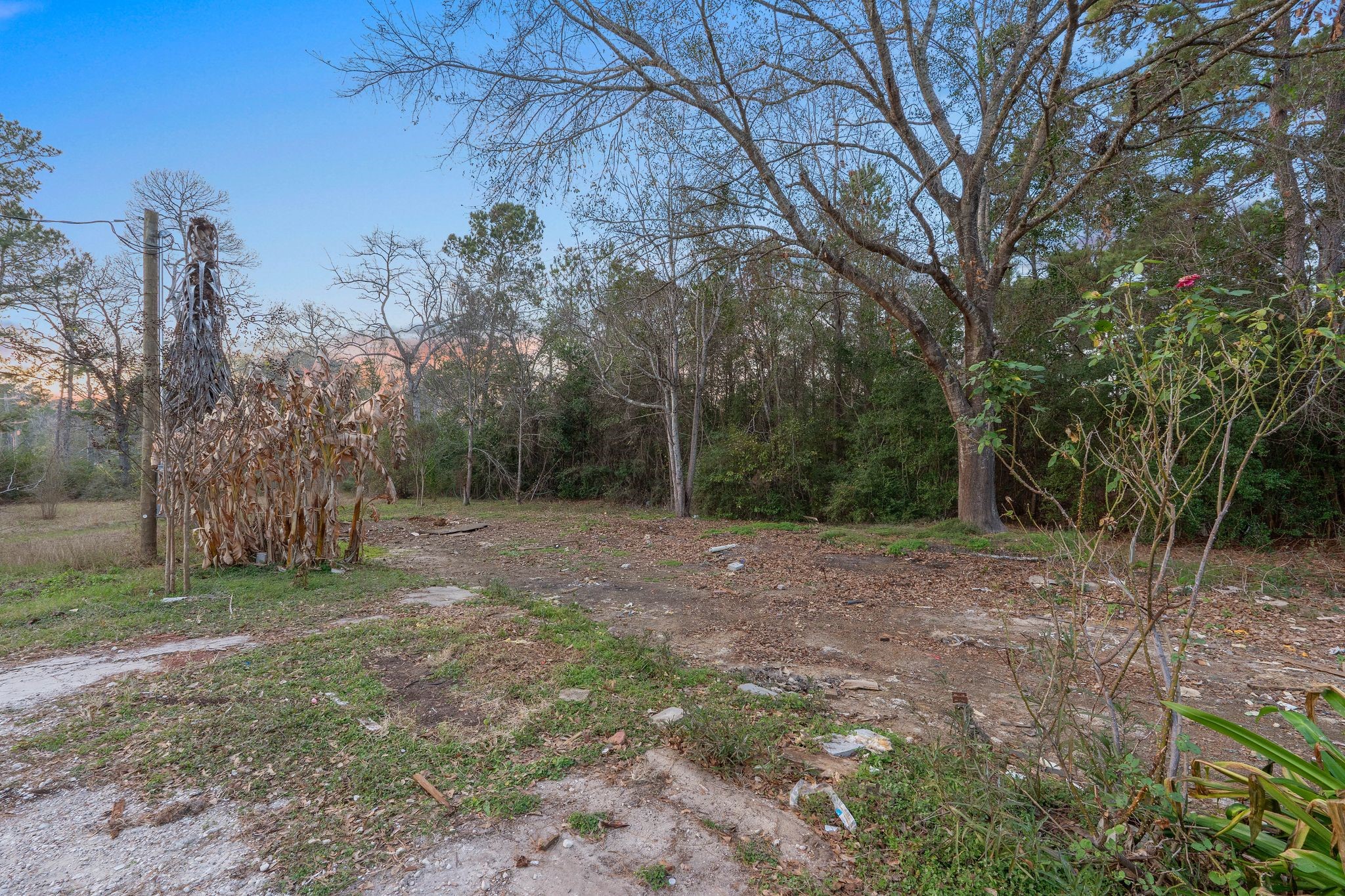 16421 East Williams Road Conroe, TX 77303 - Photo 8 of 25