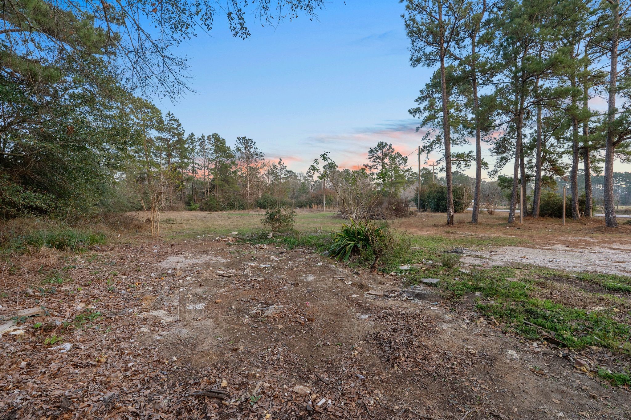 16421 East Williams Road Conroe, TX 77303 - Photo 10 of 25