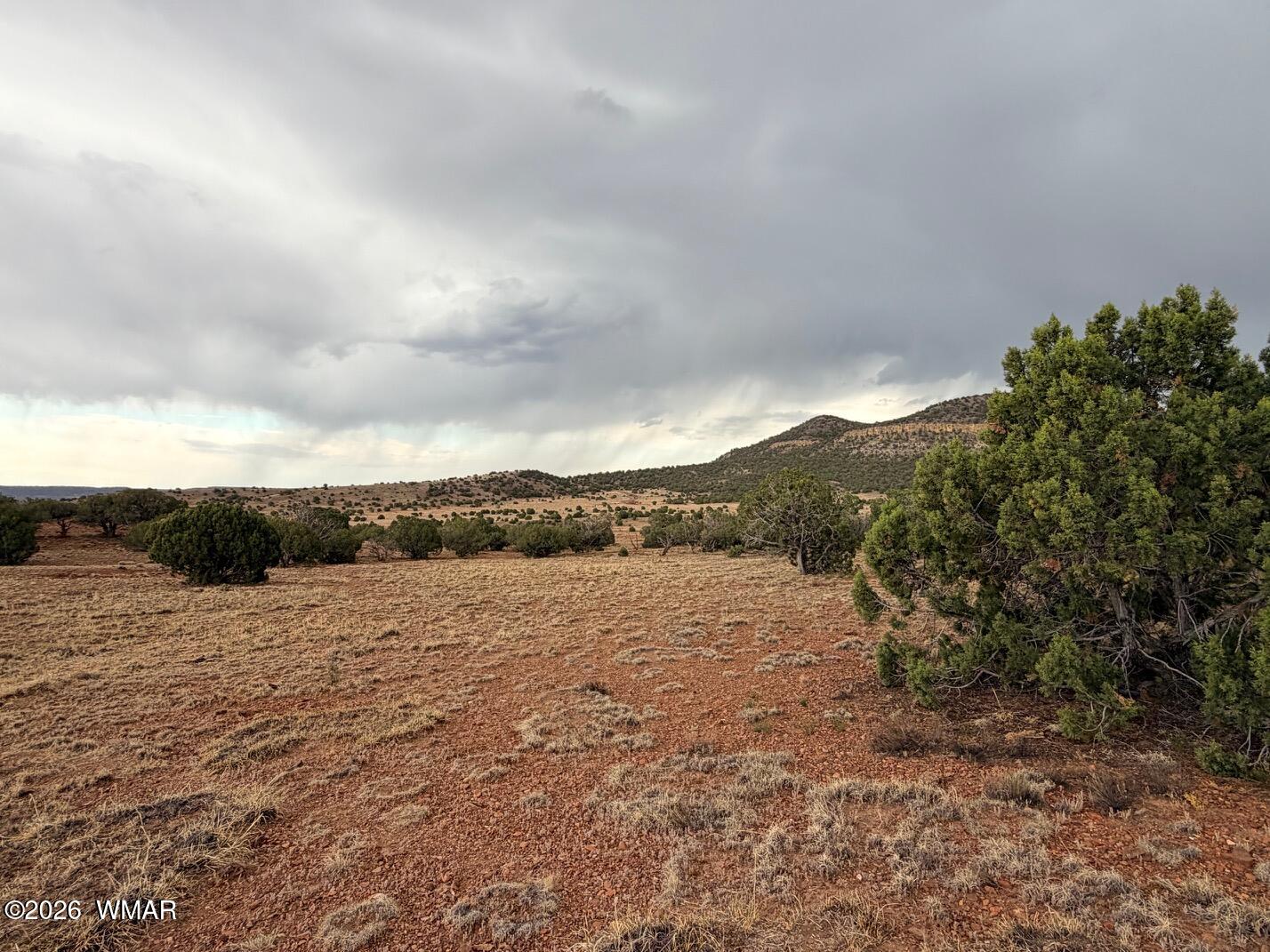 2 N8604 Concho, AZ 85924 - Photo 4 of 24