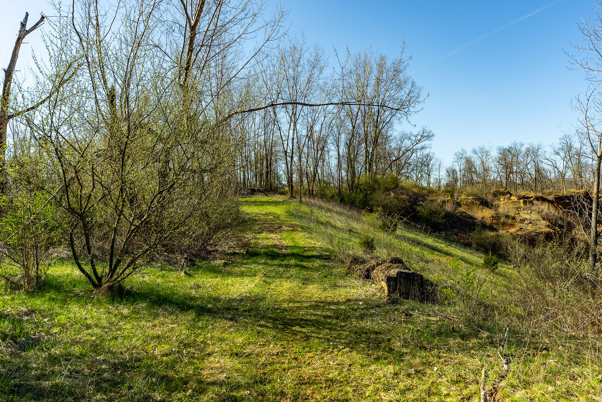 Lt2 Eli Valley Road Hillpoint, WI 53937 - Photo 38 of 47 Sauk-County-WI-53-Acres-Land-For-Sale-38