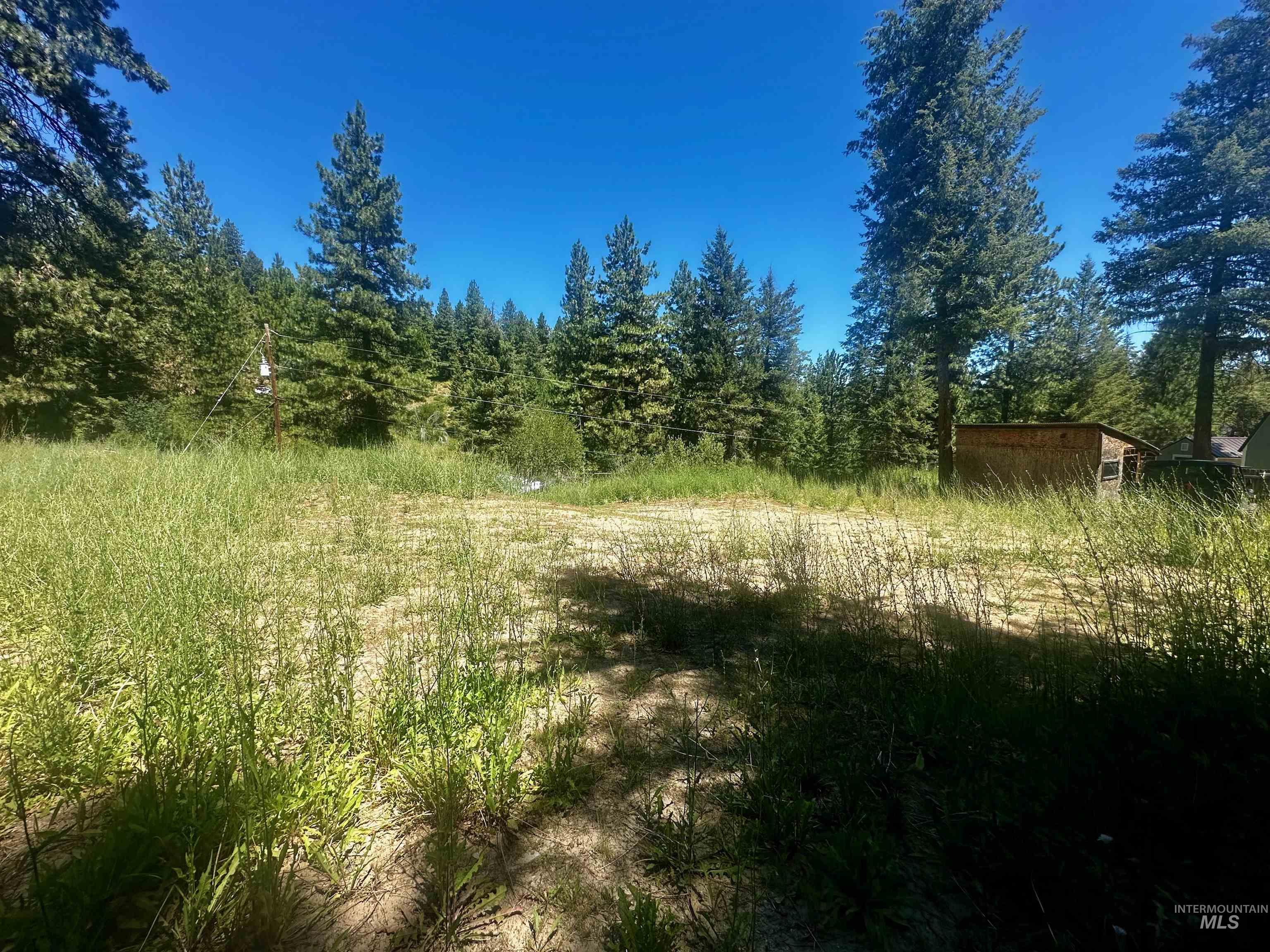 37 Timberline Road Boise, ID 83716 - Photo 3 of 9 View of tree filled area
