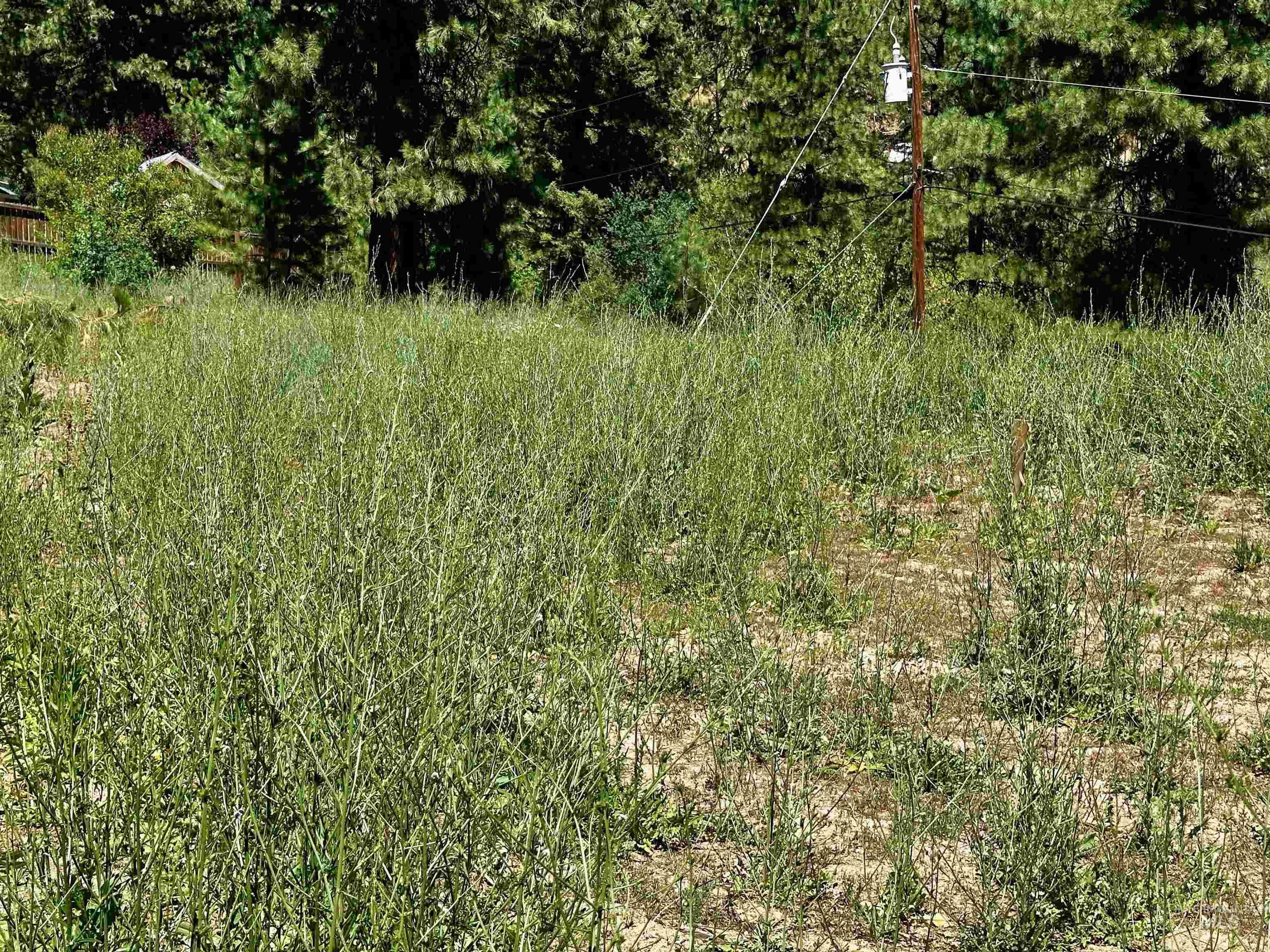 37 Timberline Road Boise, ID 83716 - Photo 4 of 9 View of nature