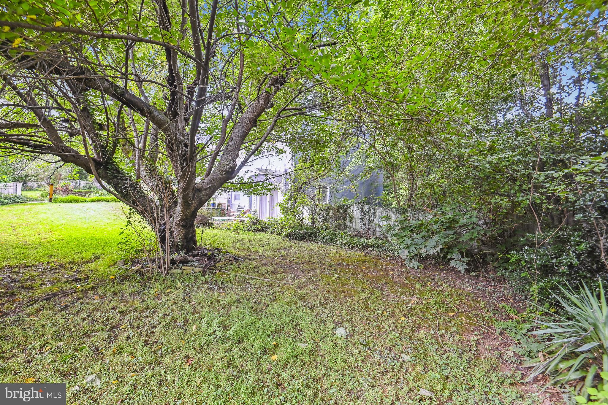1640 Birch Road McLean, VA 22101 - Photo 4 of 11 Gallery Image 4