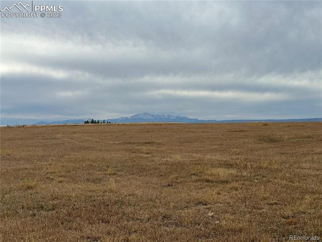 41 County Road Elbert, CO 80106 - Photo 7 of 7