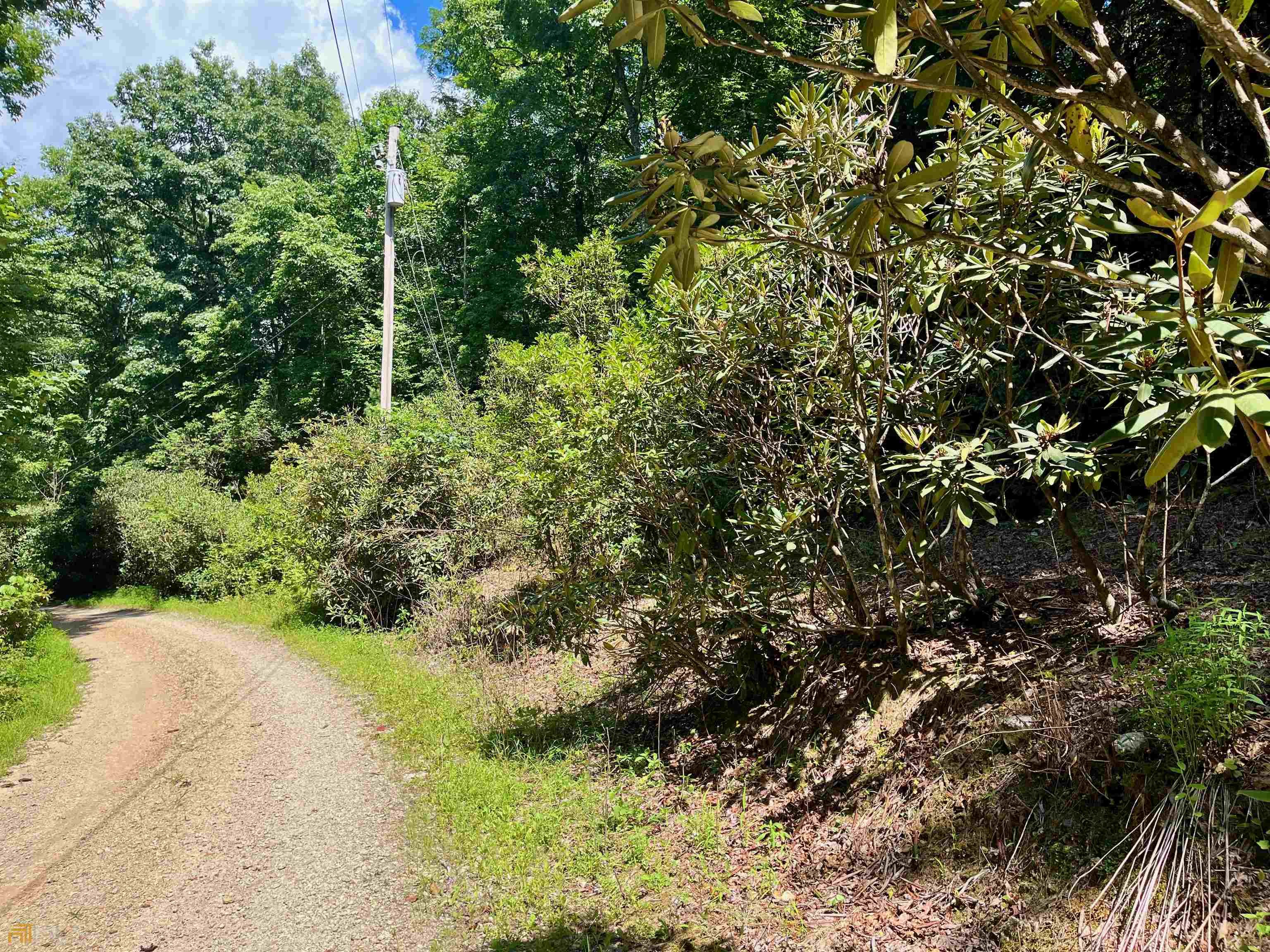 0 Rebel Ridge Road Otto, NC 28763 - Photo 1 of 1 Gallery Image 1
