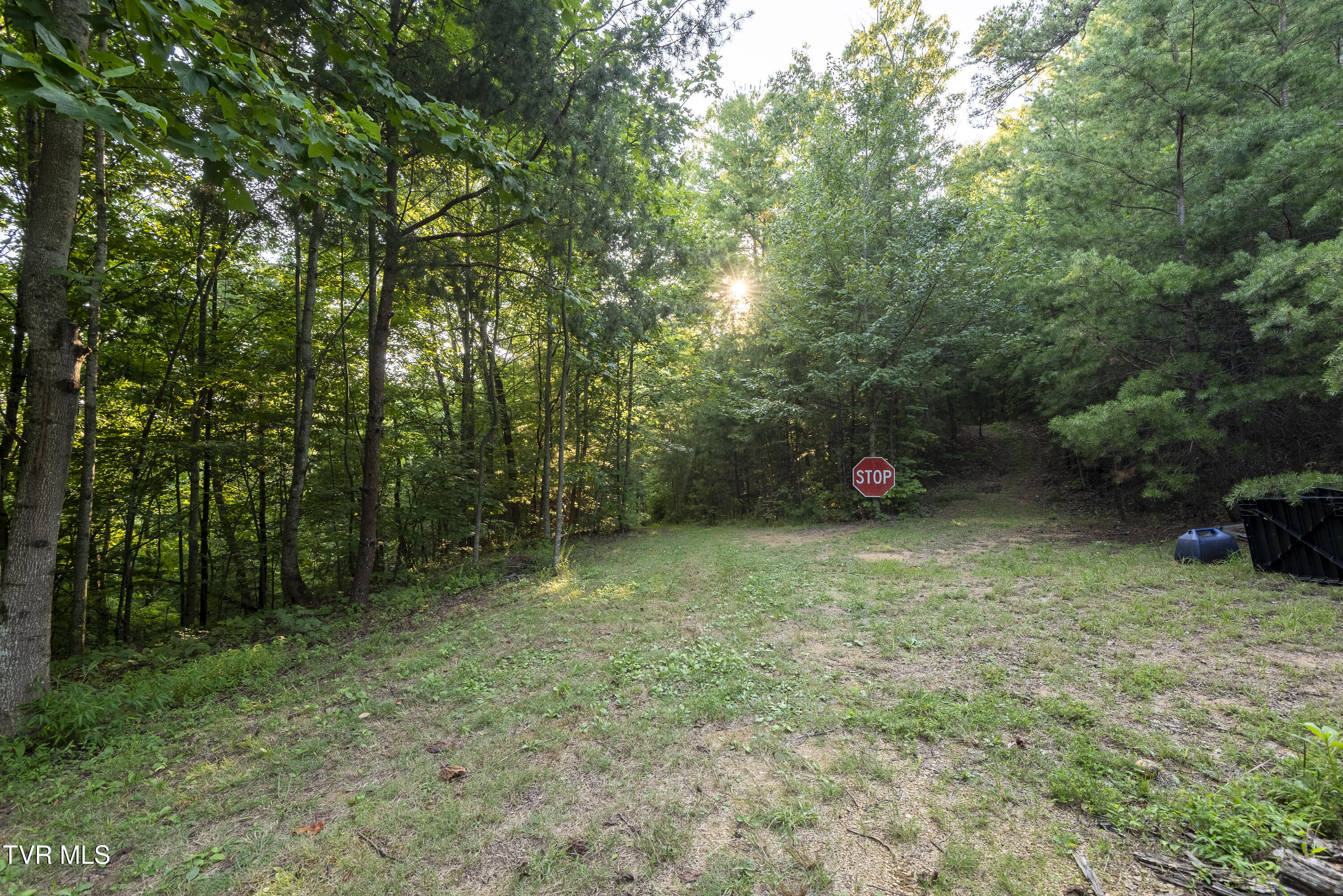 Tbd Patty Branch Road Bristol, TN 37620 - Photo 11 of 43 00 Patty-Branch-Bristol-TN-13