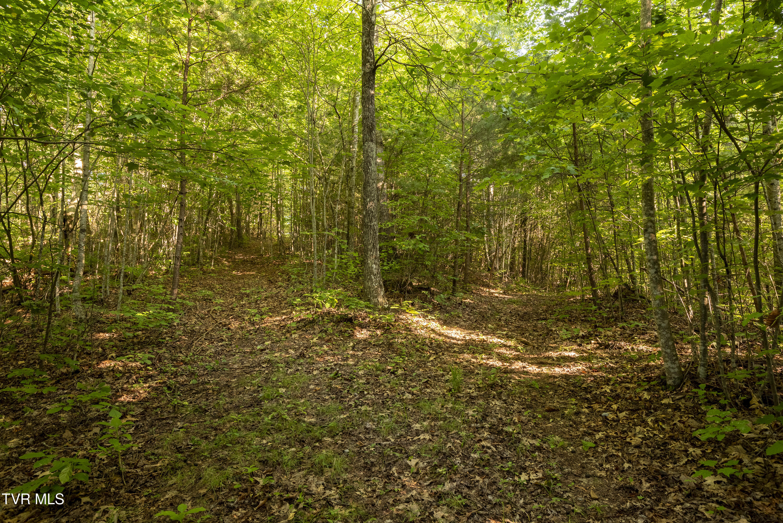 Tbd Patty Branch Road Bristol, TN 37620 - Photo 17 of 43 00 Patty-Branch-Bristol-TN-3