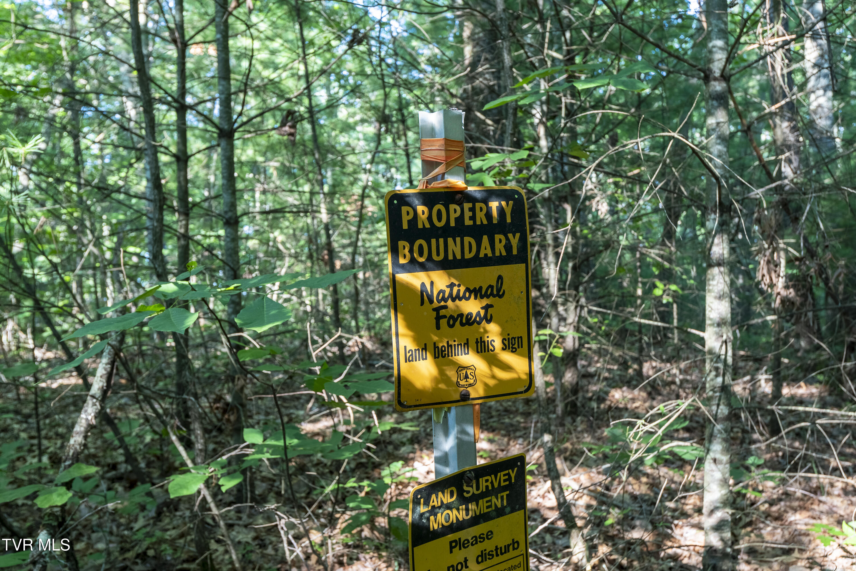 Tbd Patty Branch Road Bristol, TN 37620 - Photo 20 of 43 00 Patty-Branch-Bristol-TN-6