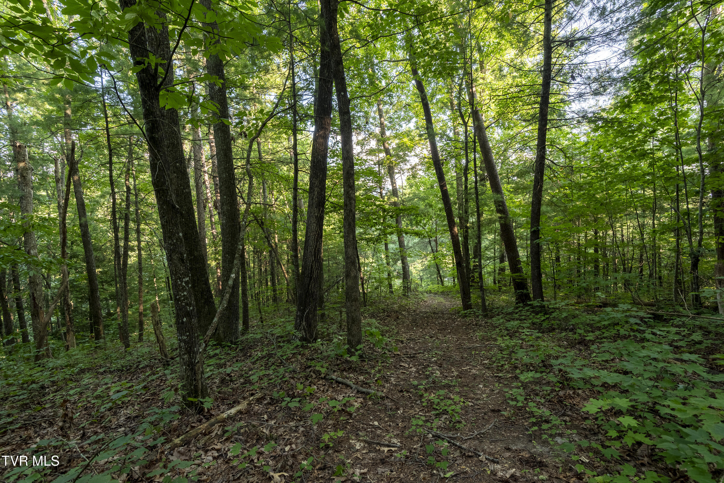 Tbd Patty Branch Road Bristol, TN 37620 - Photo 21 of 43 00 Patty-Branch-Bristol-TN-8