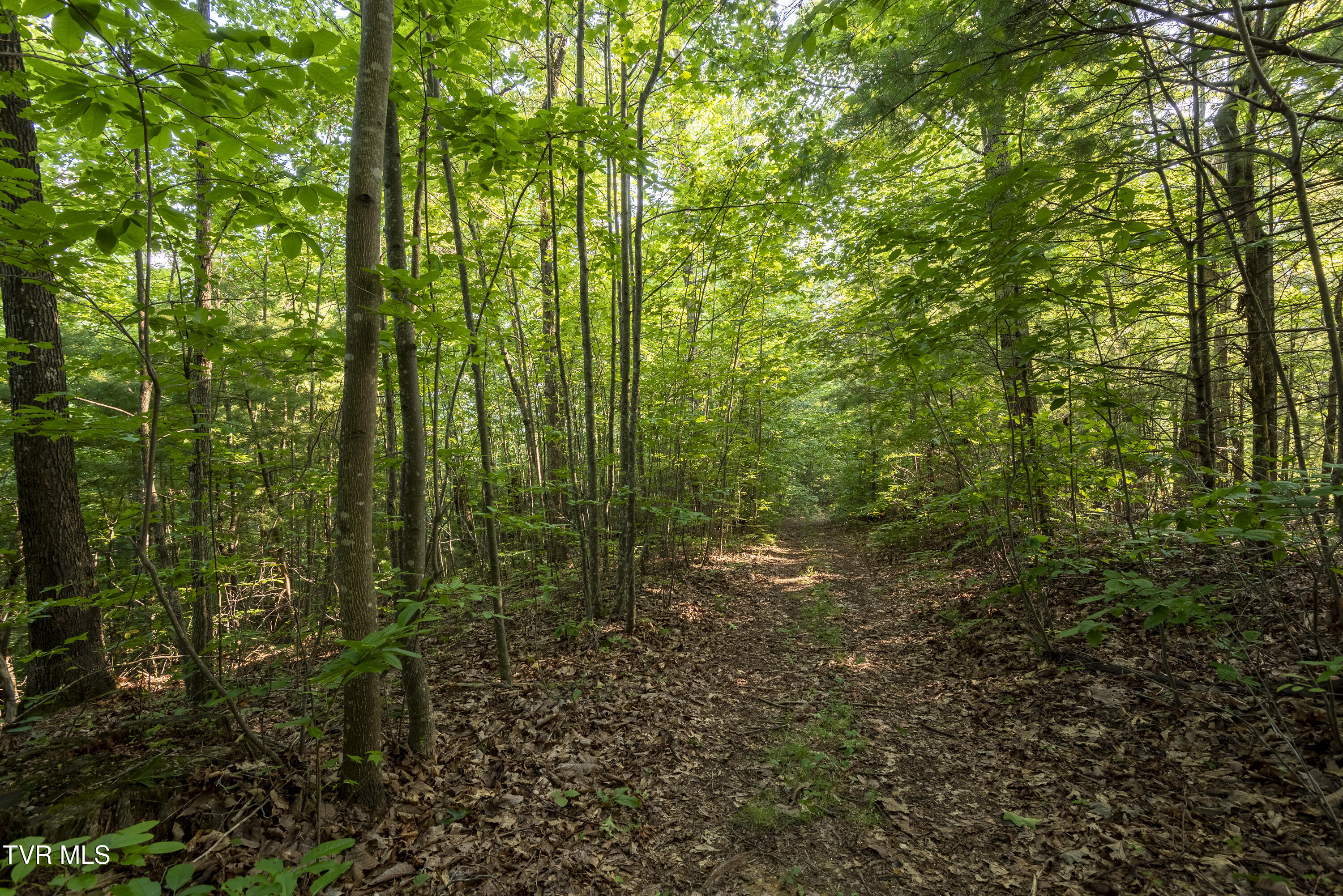 Tbd Patty Branch Road Bristol, TN 37620 - Photo 23 of 43 00 Patty-Branch-Bristol-TN-11