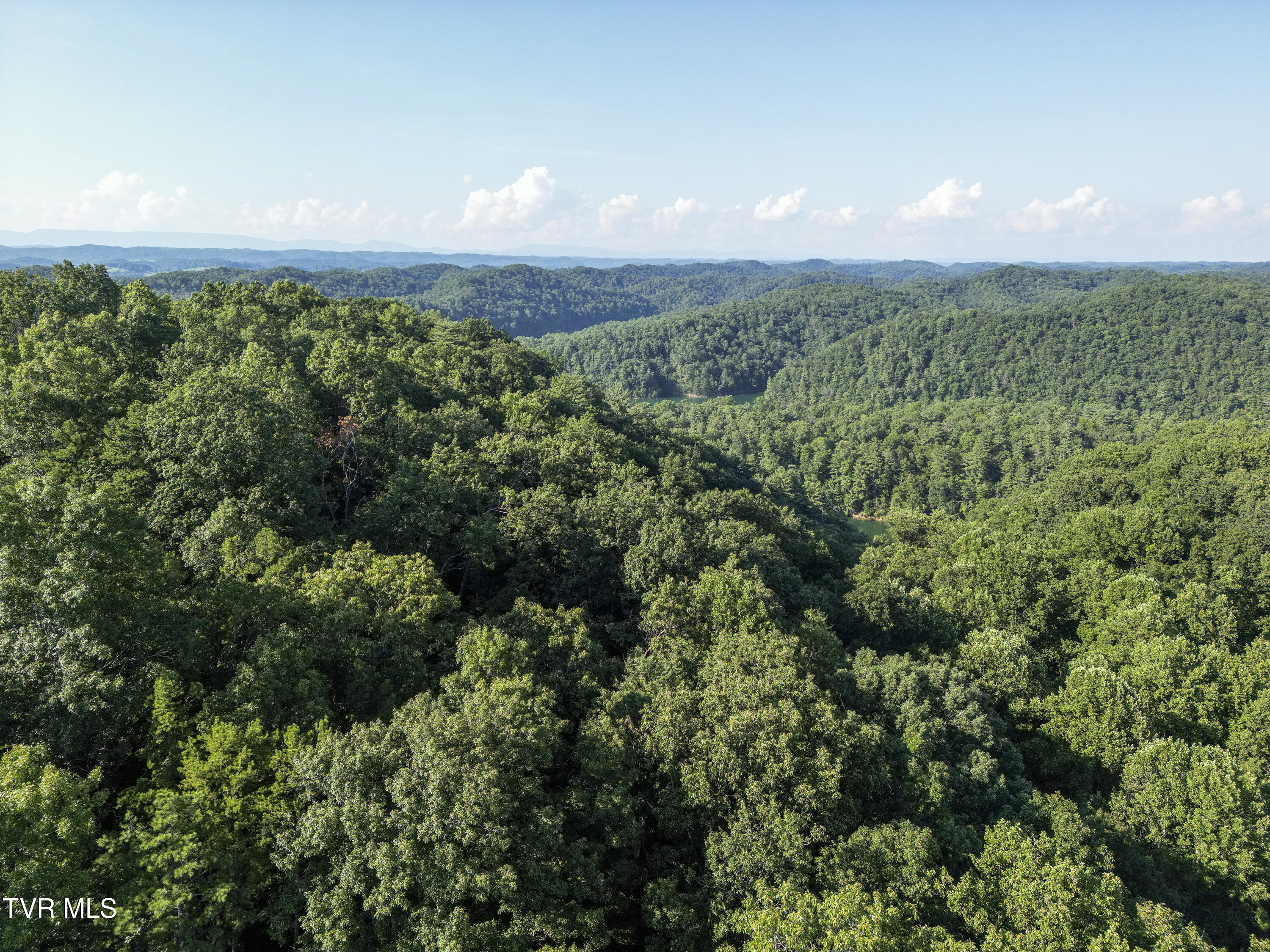 Tbd Patty Branch Road Bristol, TN 37620 - Photo 29 of 43 00 Patty-Branch-Bristol-TN-19