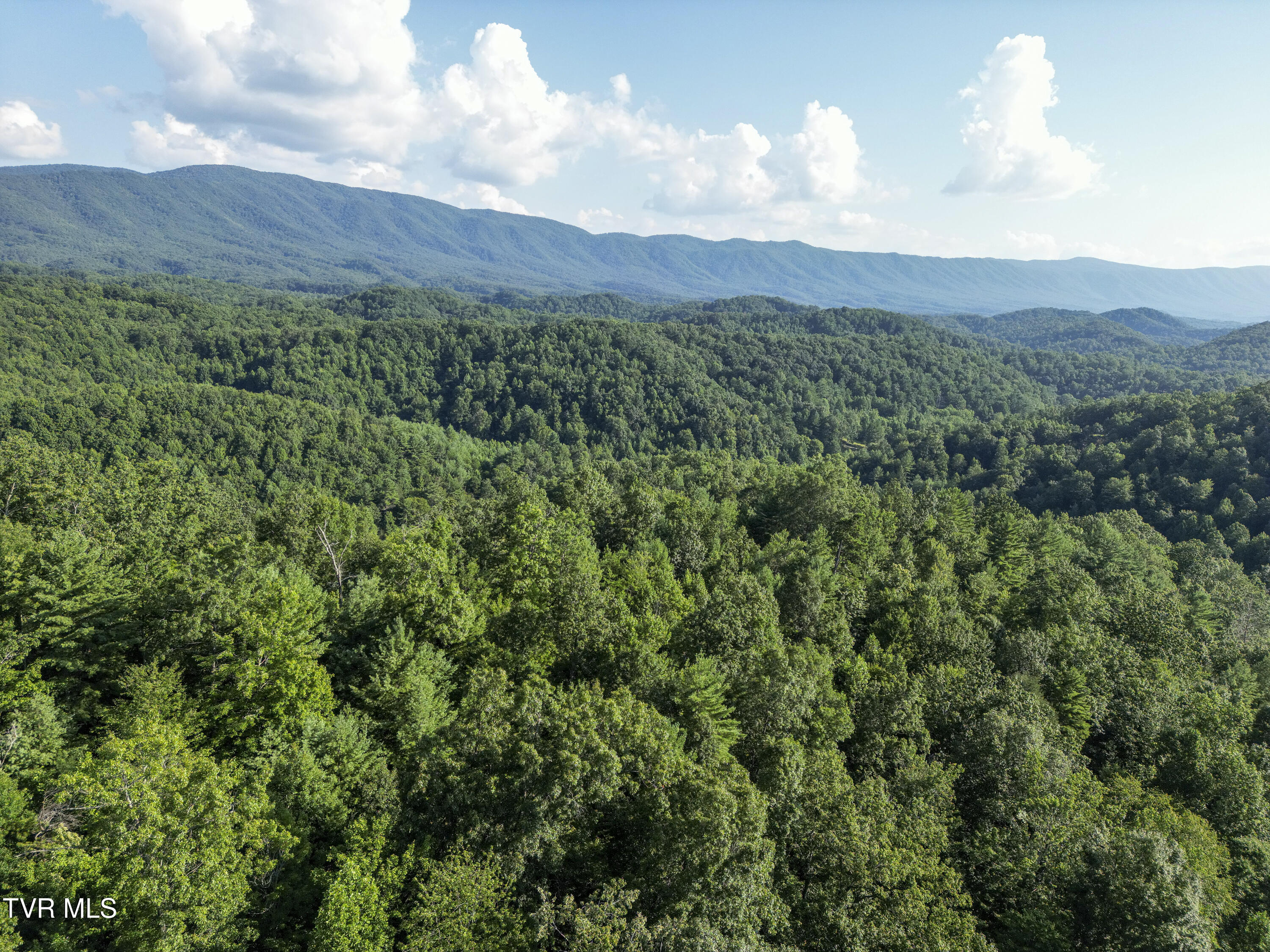Tbd Patty Branch Road Bristol, TN 37620 - Photo 31 of 43 00 Patty-Branch-Bristol-TN-20