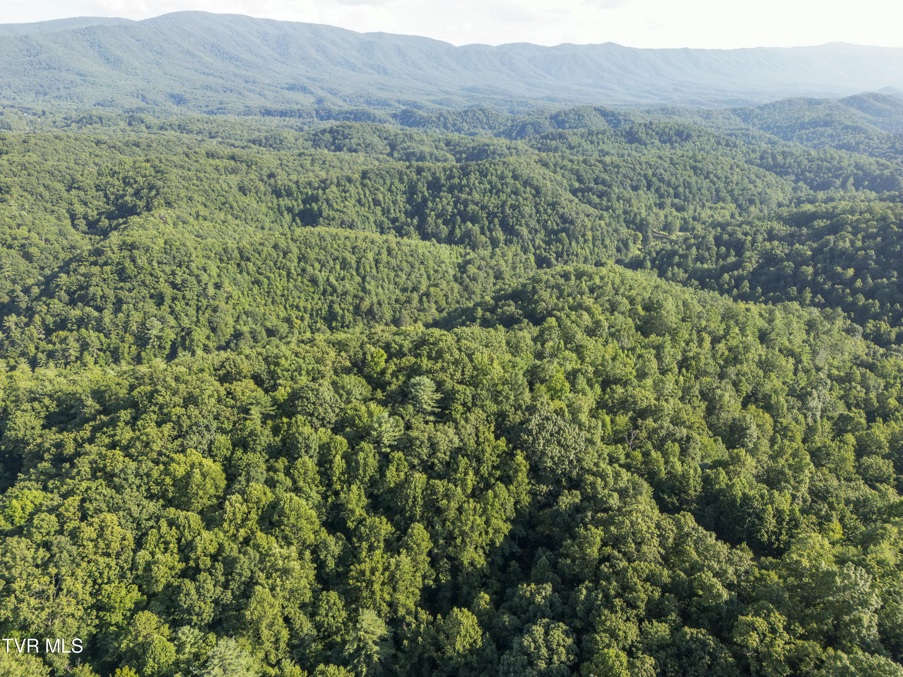 Tbd Patty Branch Road Bristol, TN 37620 - Photo 32 of 43 00 Patty-Branch-Bristol-TN-34