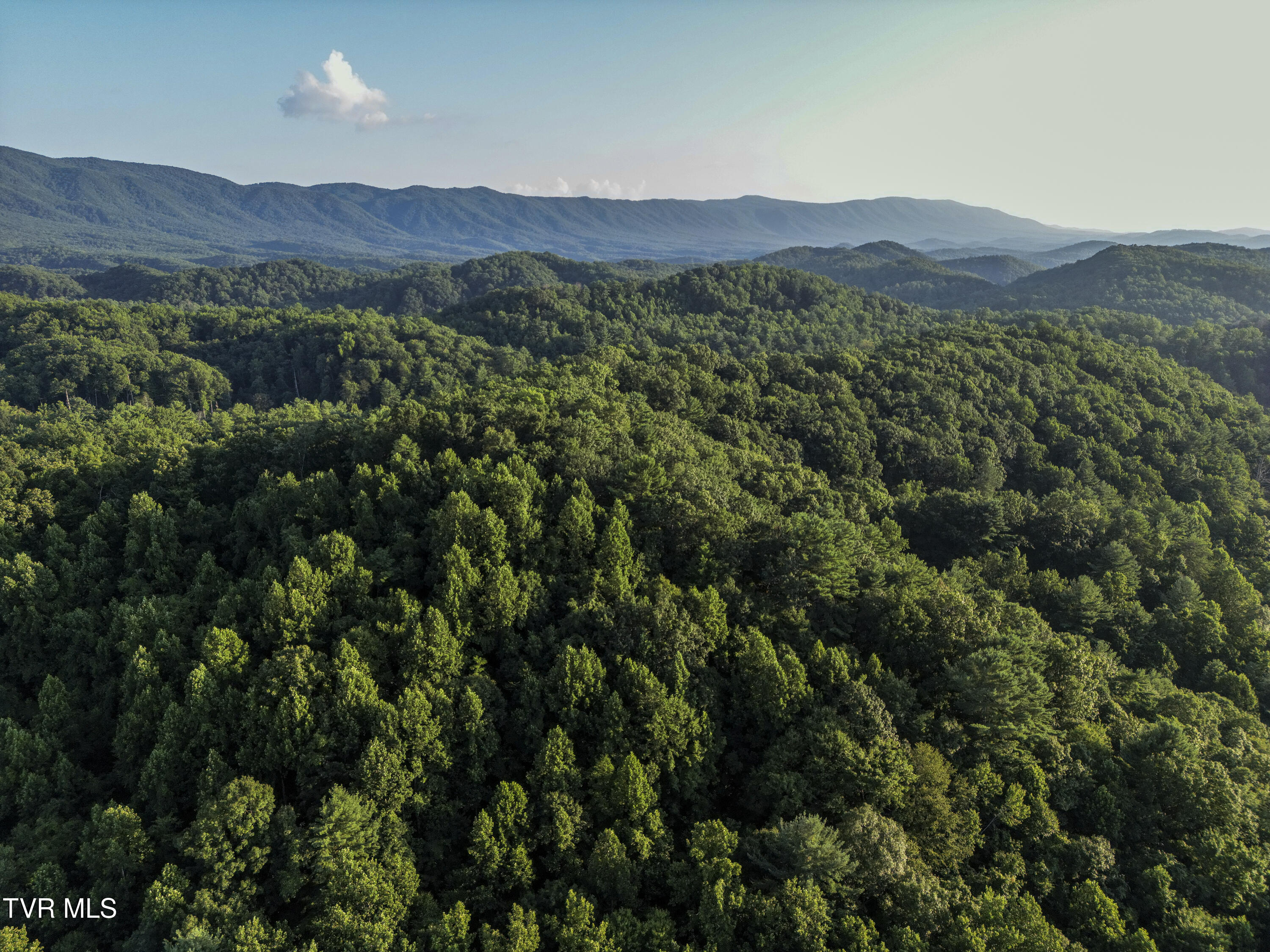 Tbd Patty Branch Road Bristol, TN 37620 - Photo 35 of 43 00 Patty-Branch-Bristol-TN-43